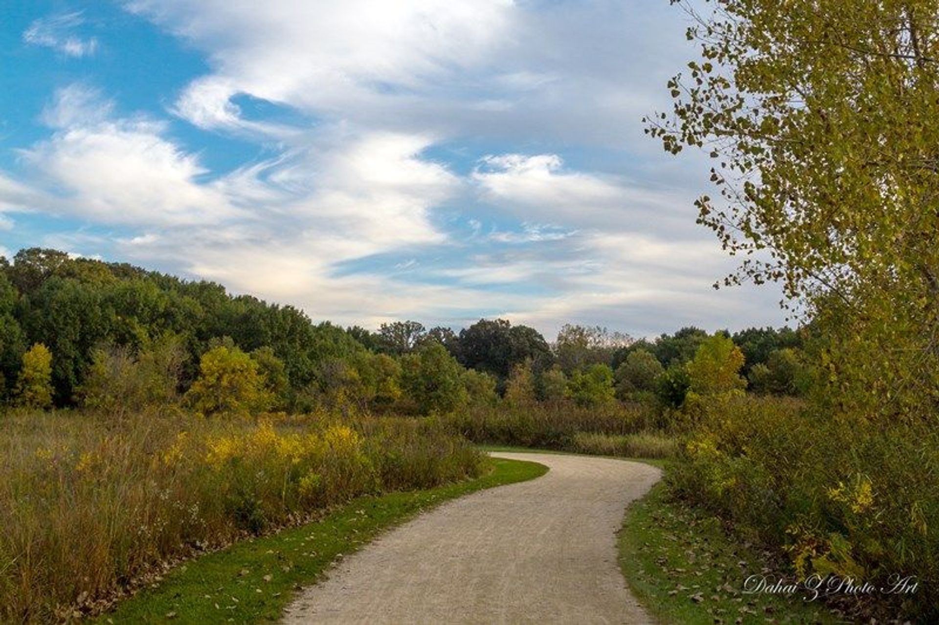 Des Plaines River Trail through Half Day Forest Preserve