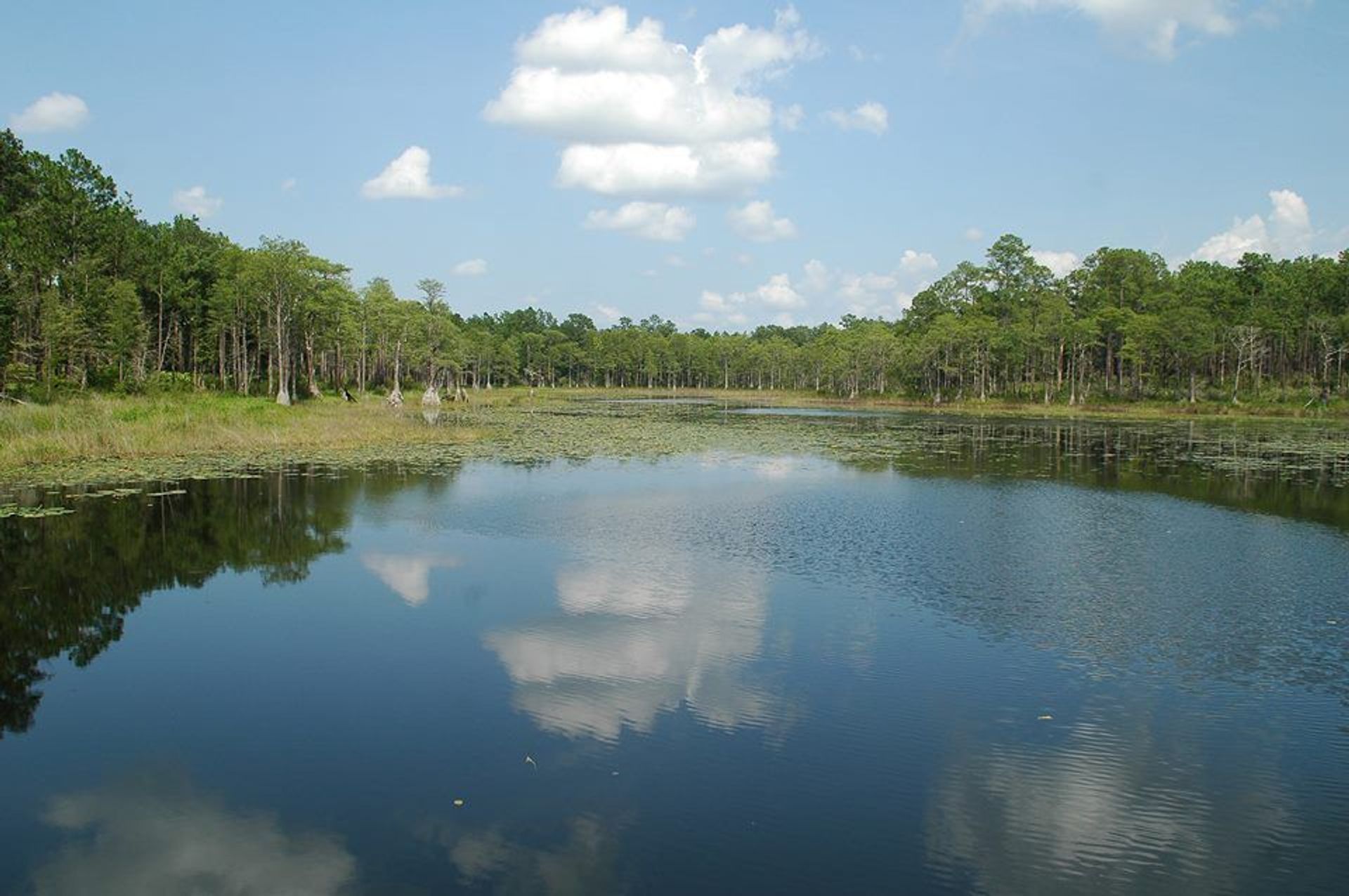 Trout Pond. Photo by USFS.