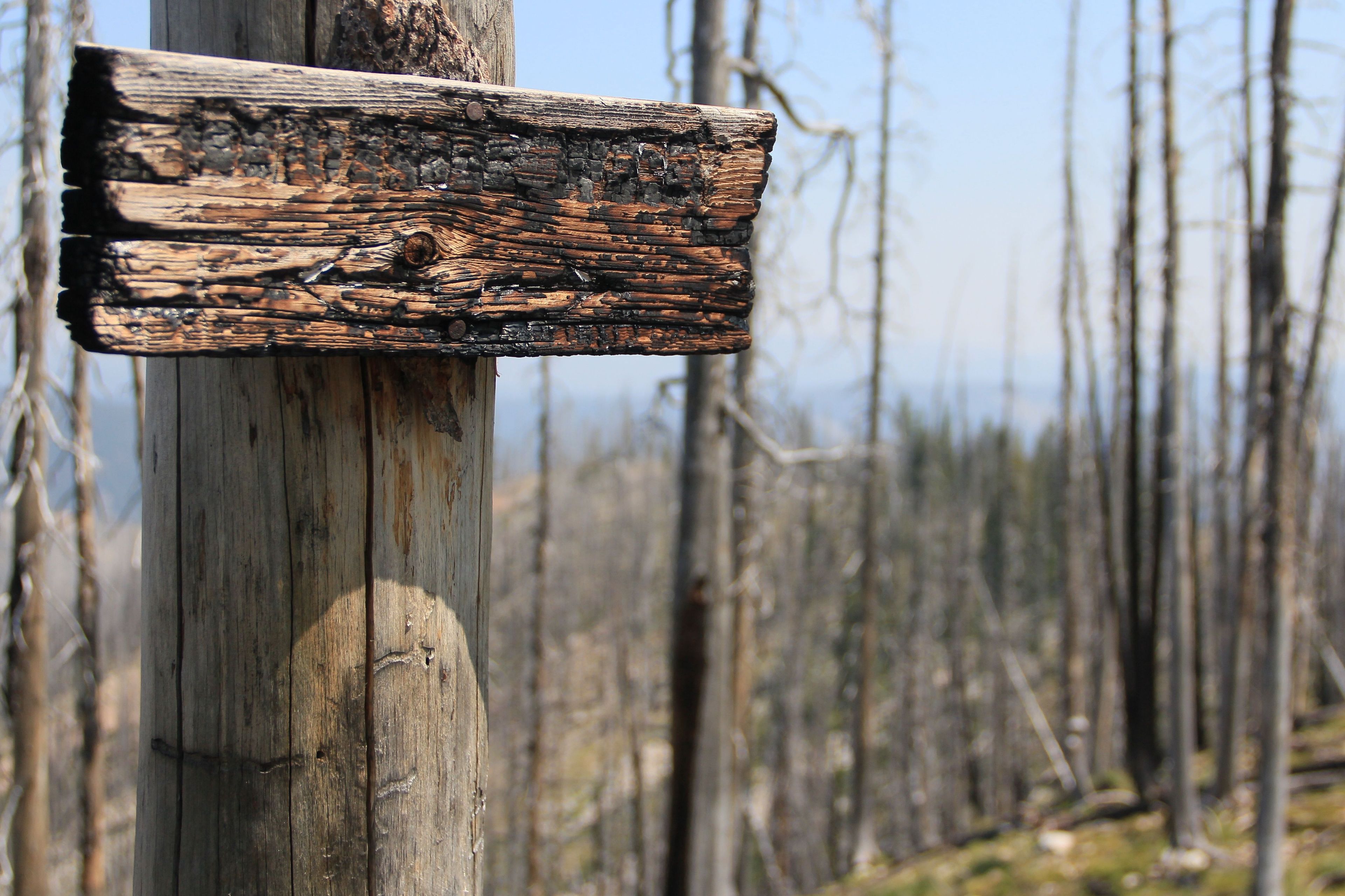 Trail sign affected by the fires of 2000. Photo by David Lingle.