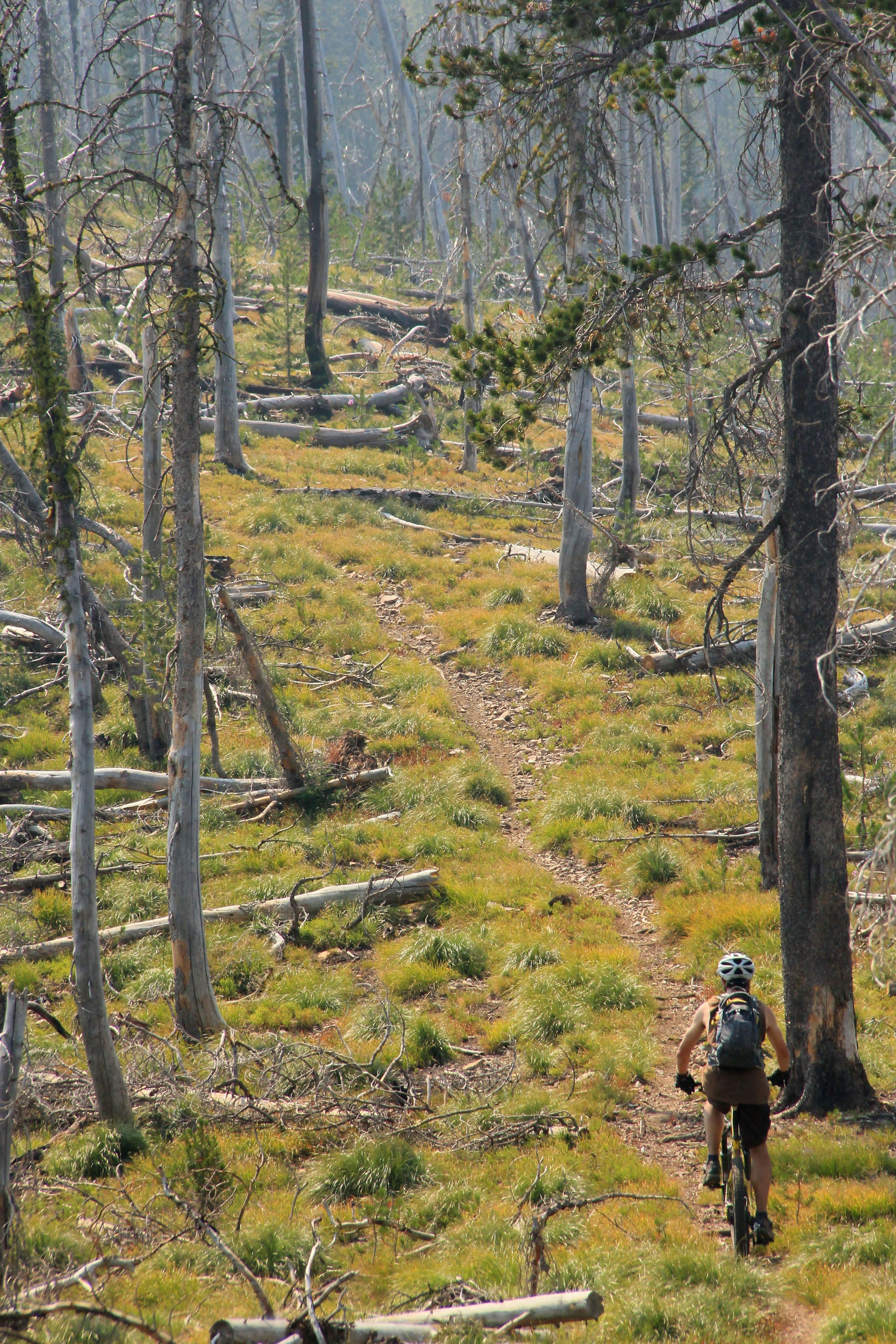 Riders enjoy Twin Creek singletrack. Photo by David Lingle.