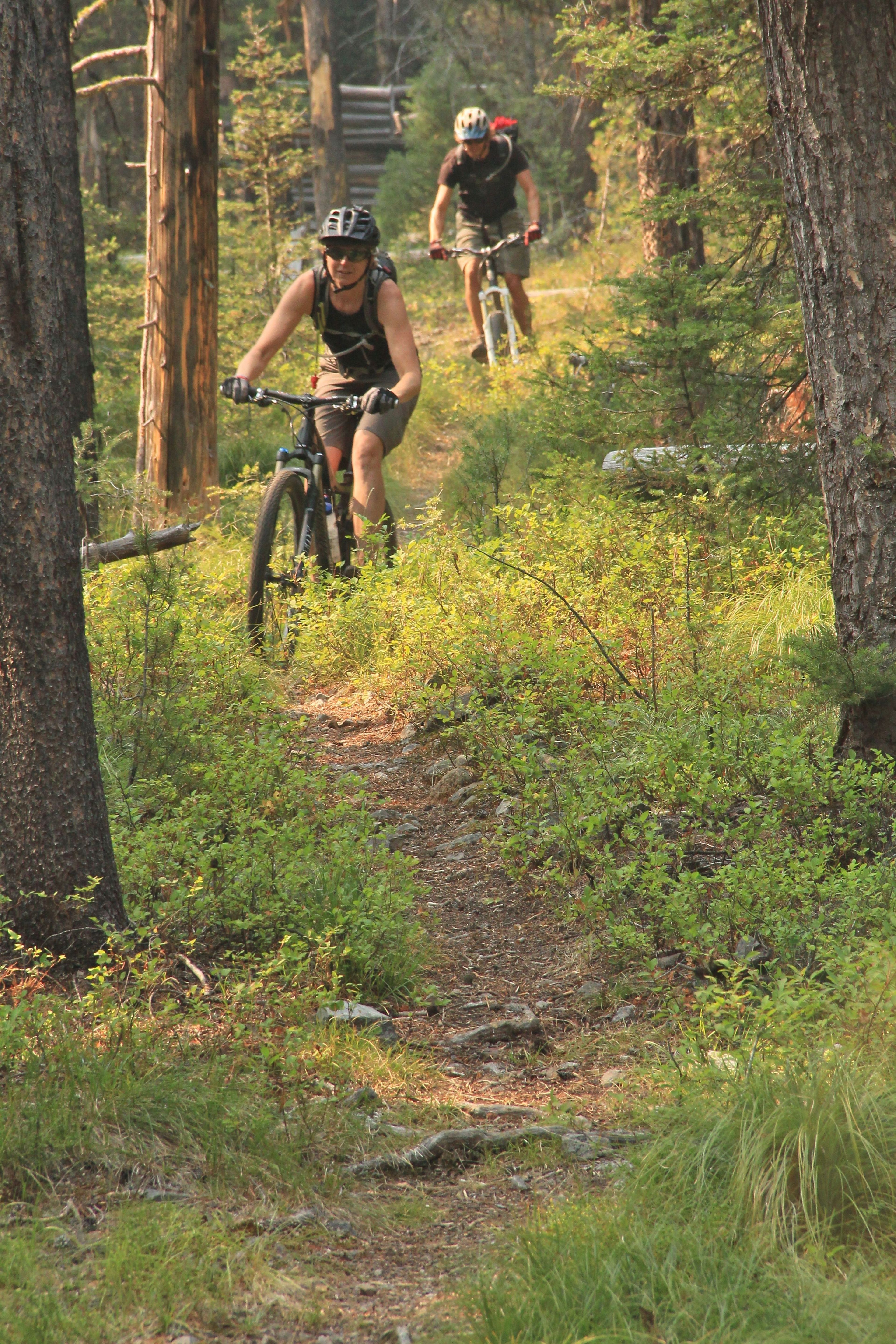 A rider enjoys the Idaho/Montana border. Photo by David Lingle.