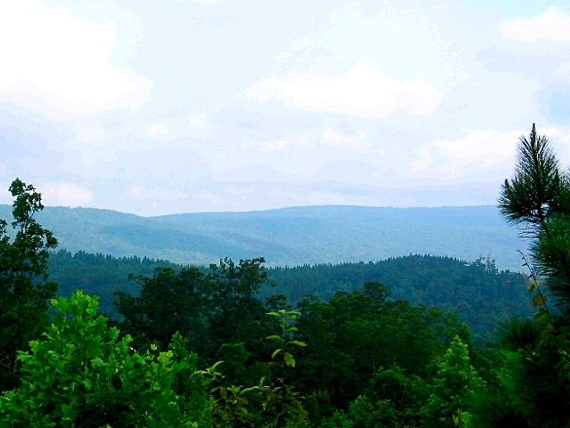 Shinbone Ridge. Photo by Gannon Murphy.