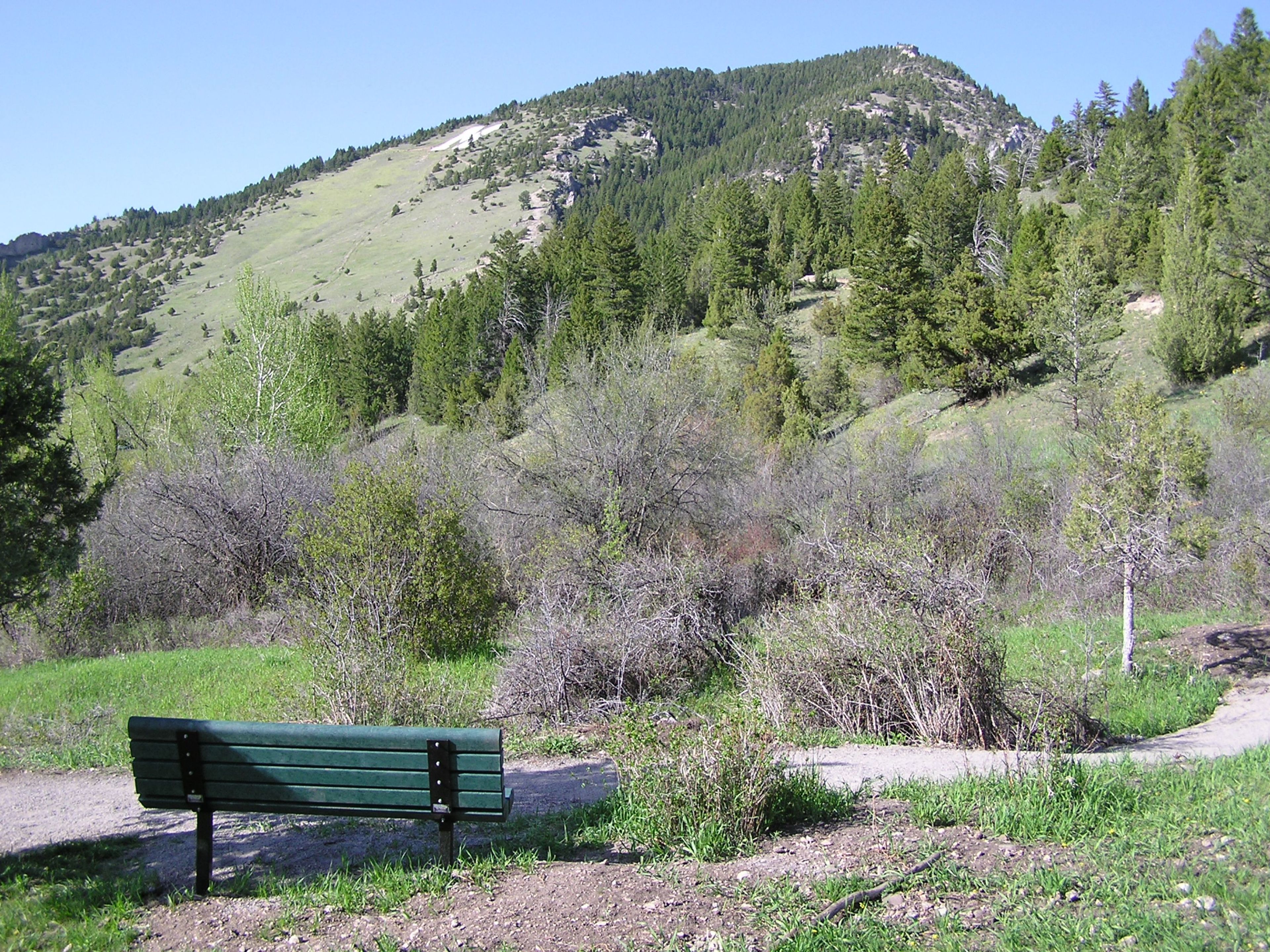 Pasture bench. Photo by Molly Webb.