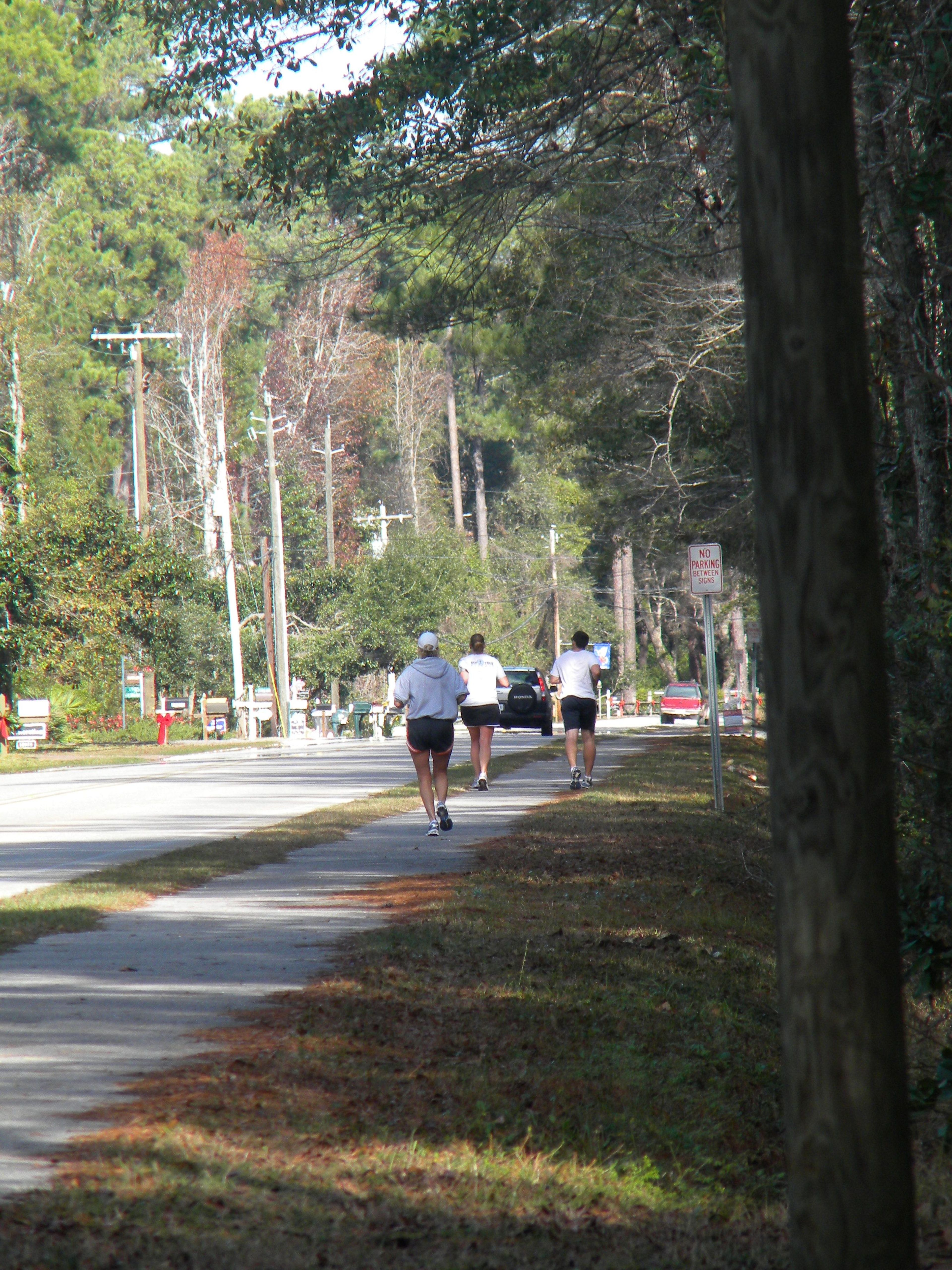 Runners on trail. Photo by Sherry Sullivan.