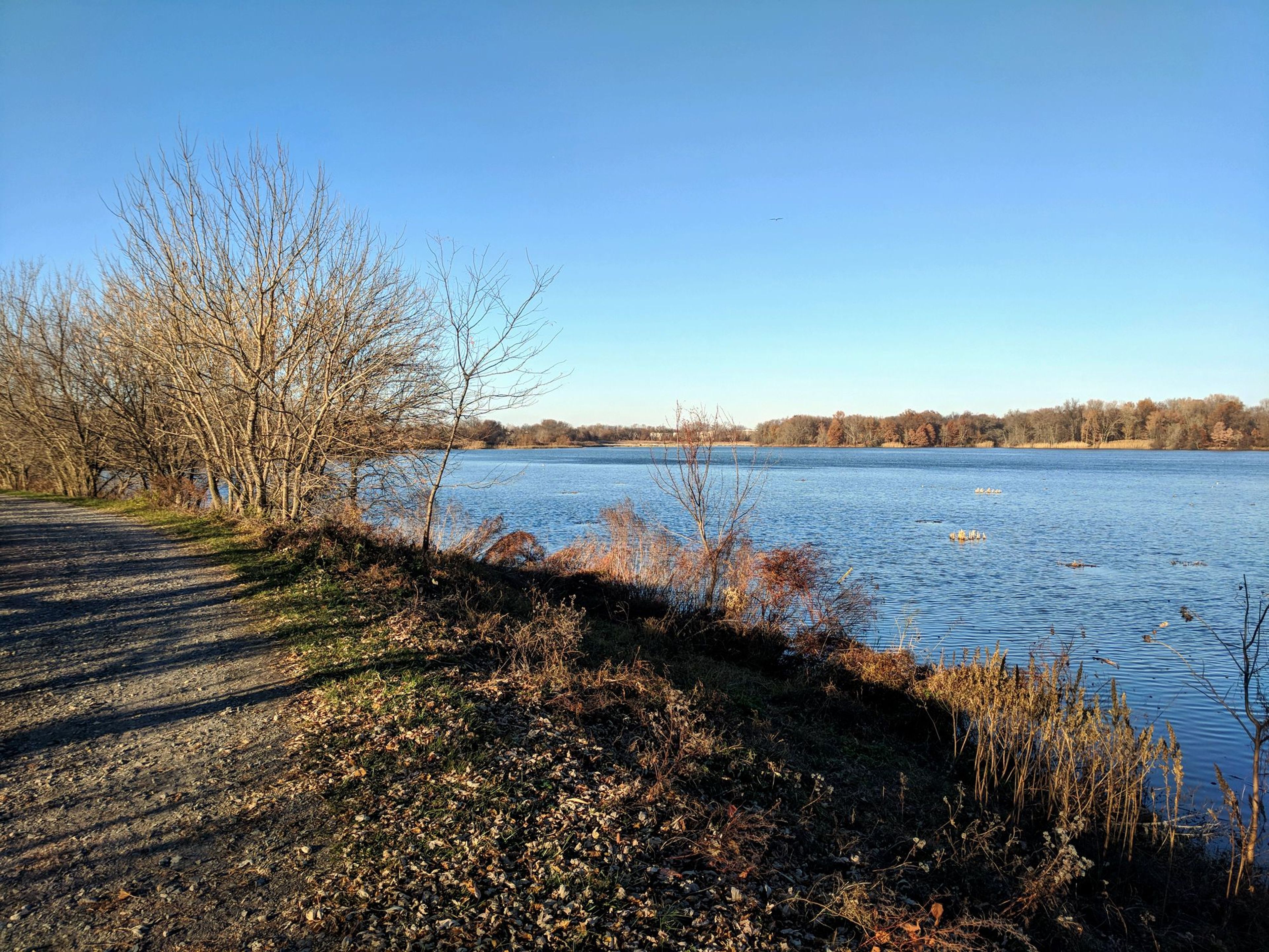 Trail on the west side of the impoundment.  12-1-2017. Photo by Jim Walla.