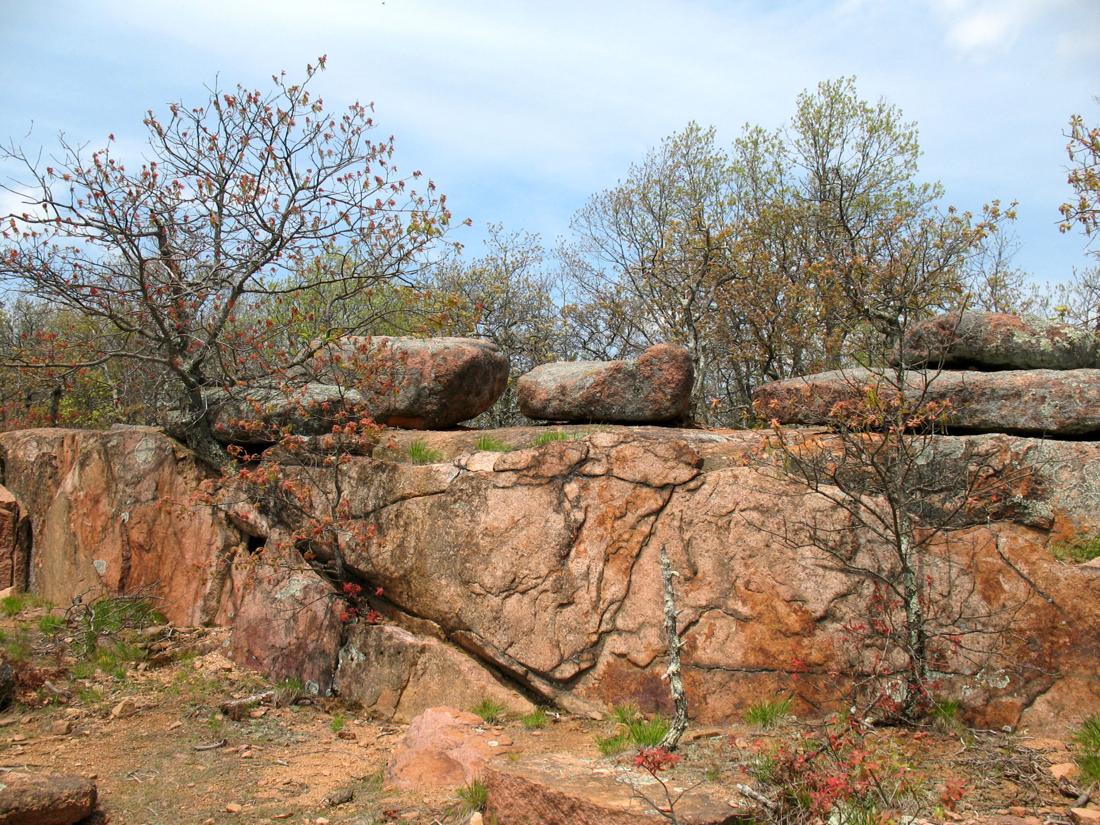 The Braille Trail at Elephant Rocks State Park. Photo by Fiana Shapiro.