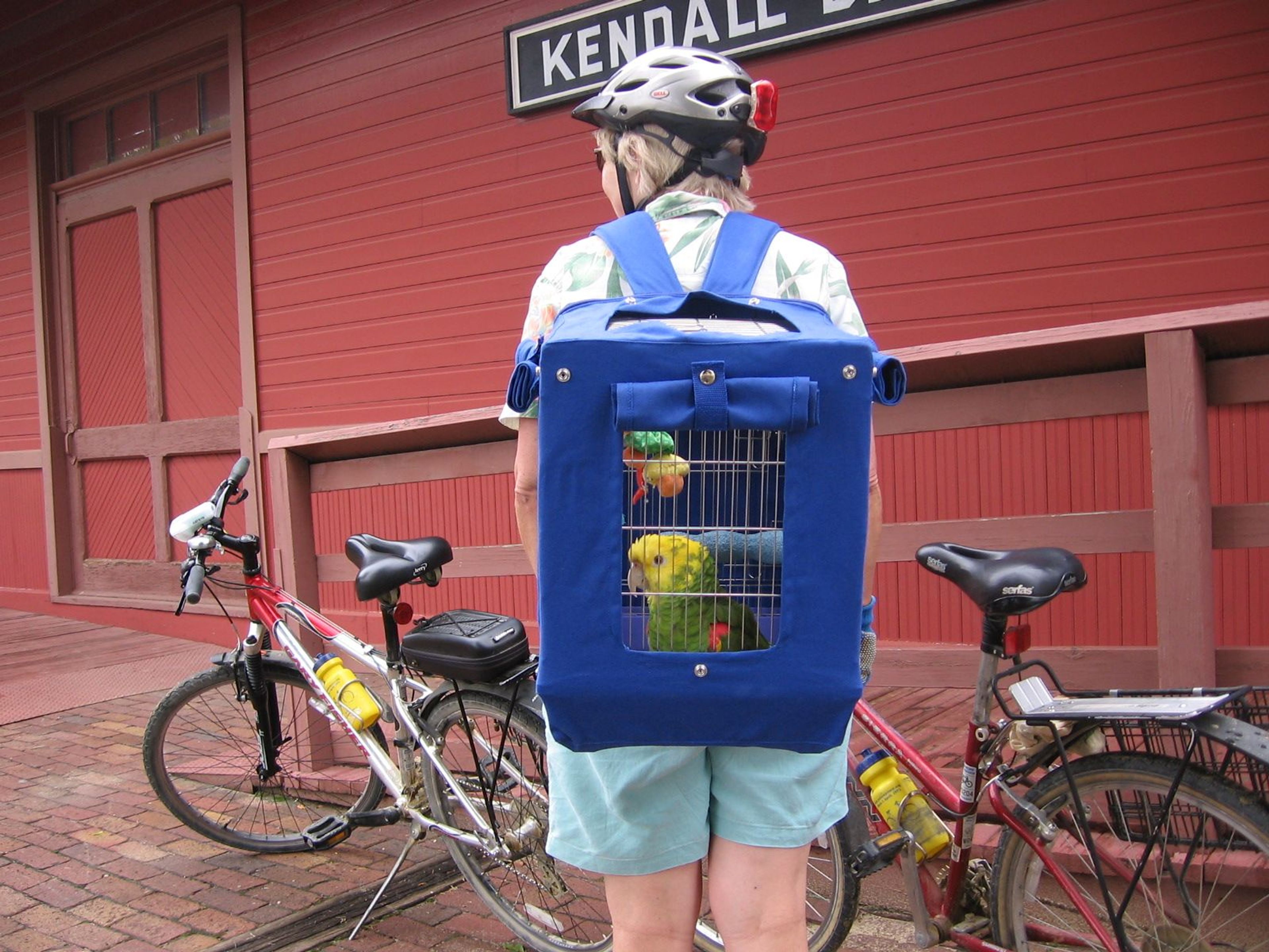 Birds going for ride. Photo by Greg Walther.