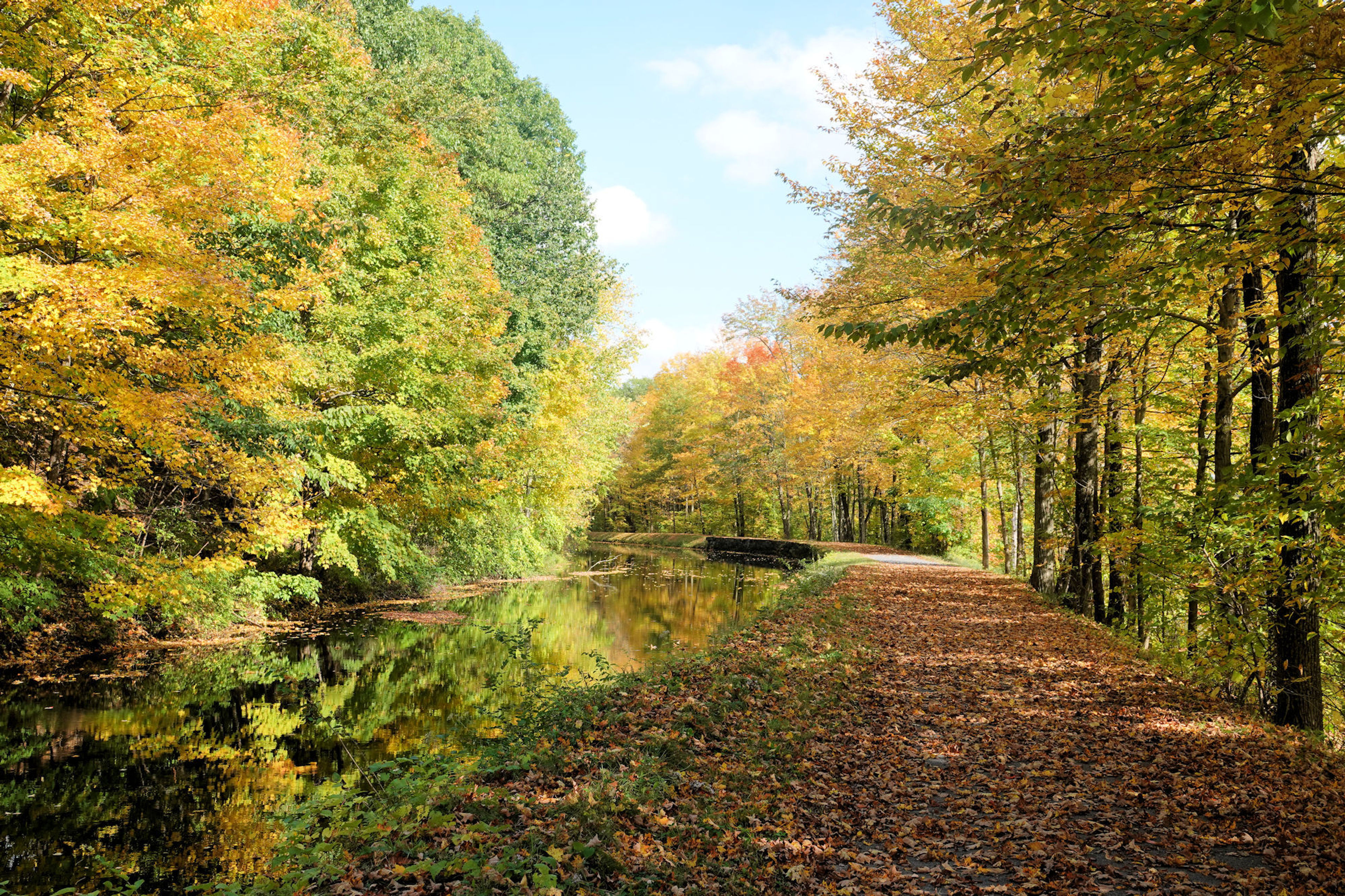 Feeder Canal Towpath Trail - 10-10-2018. Photo by Jim Walla.