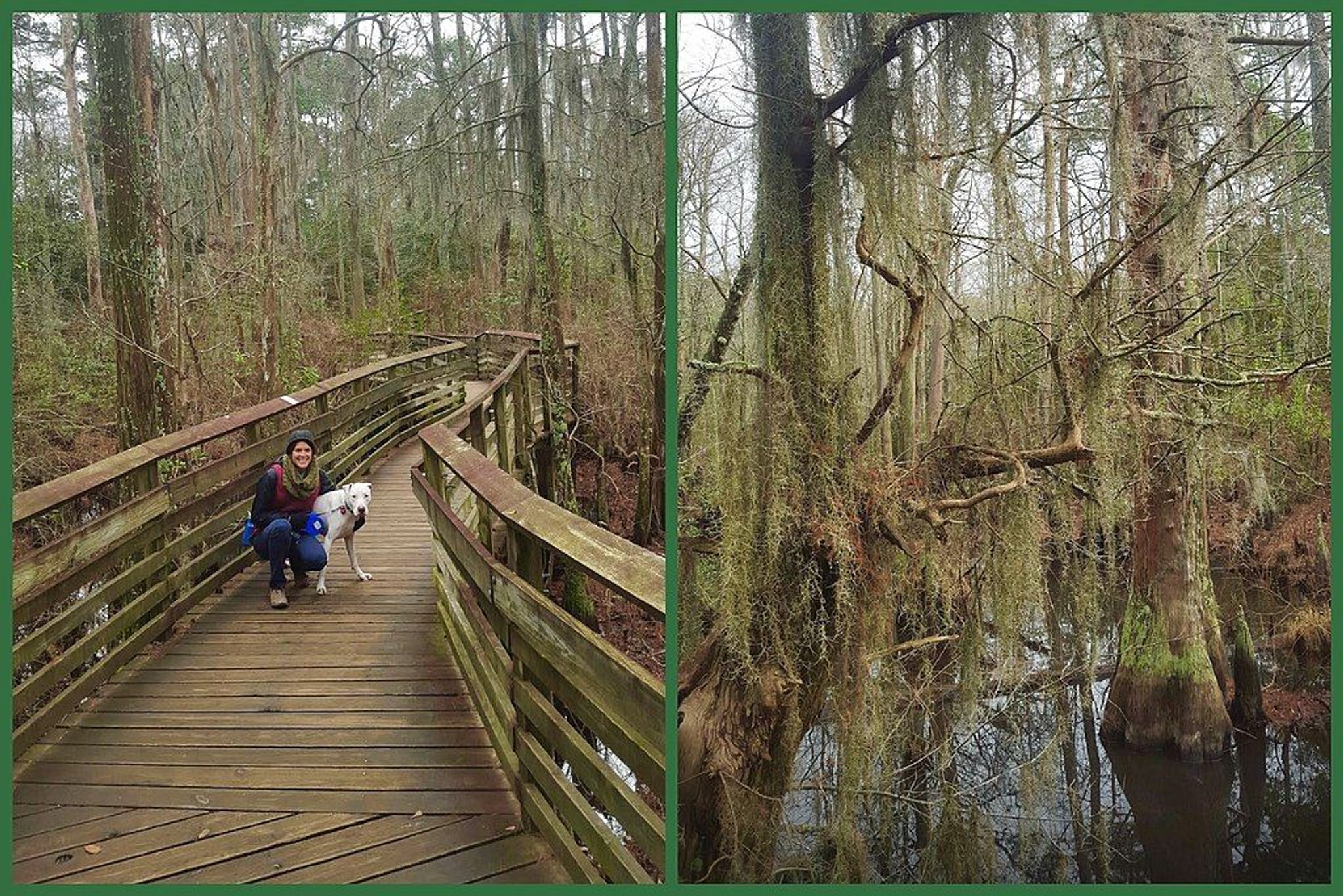 First Landing State Park. Photo by Virginia State Parks.