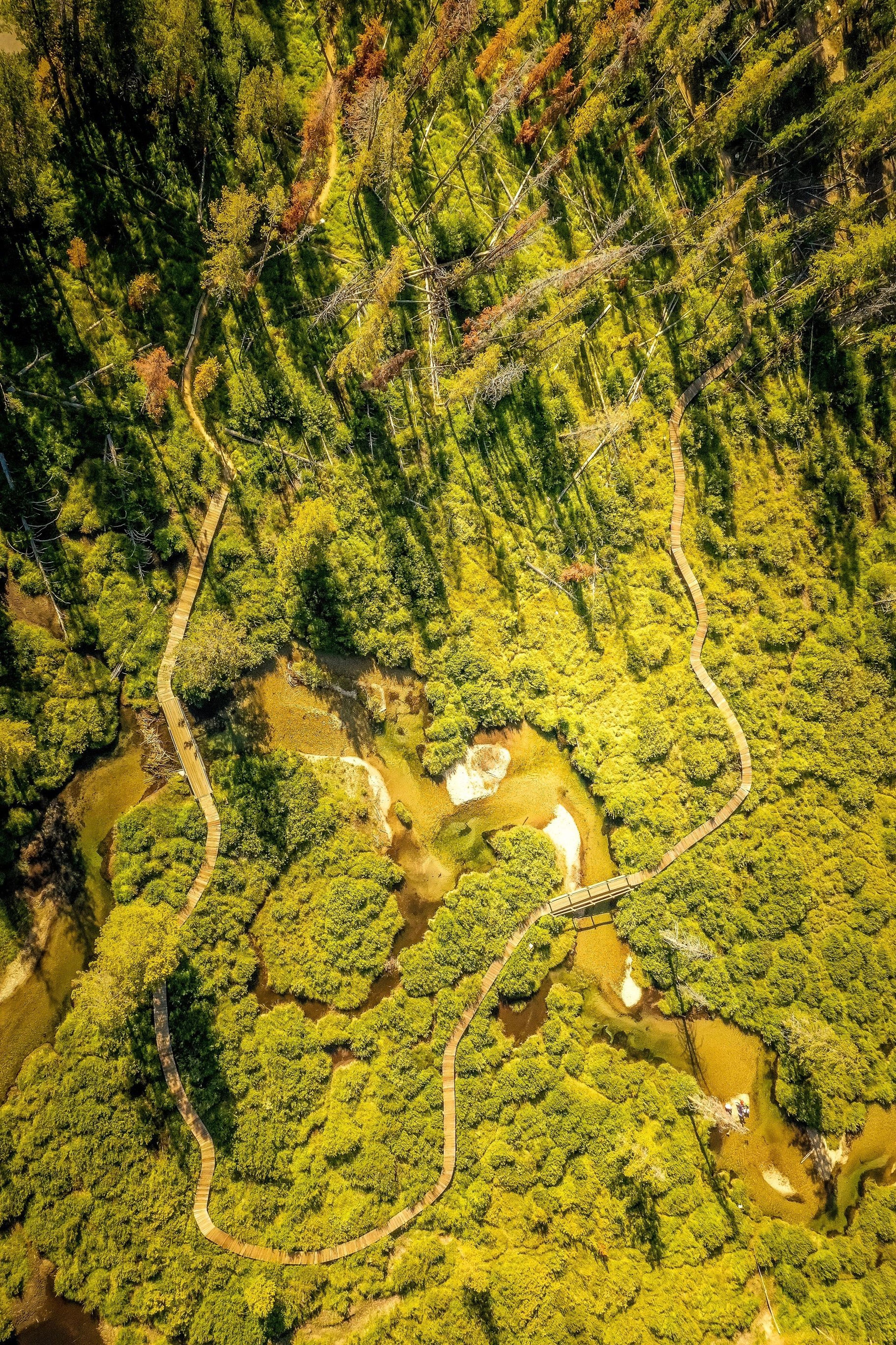 Aerial view of the trail and boardwalk from Sawtooth Assn. Photo by Austin Clegg.