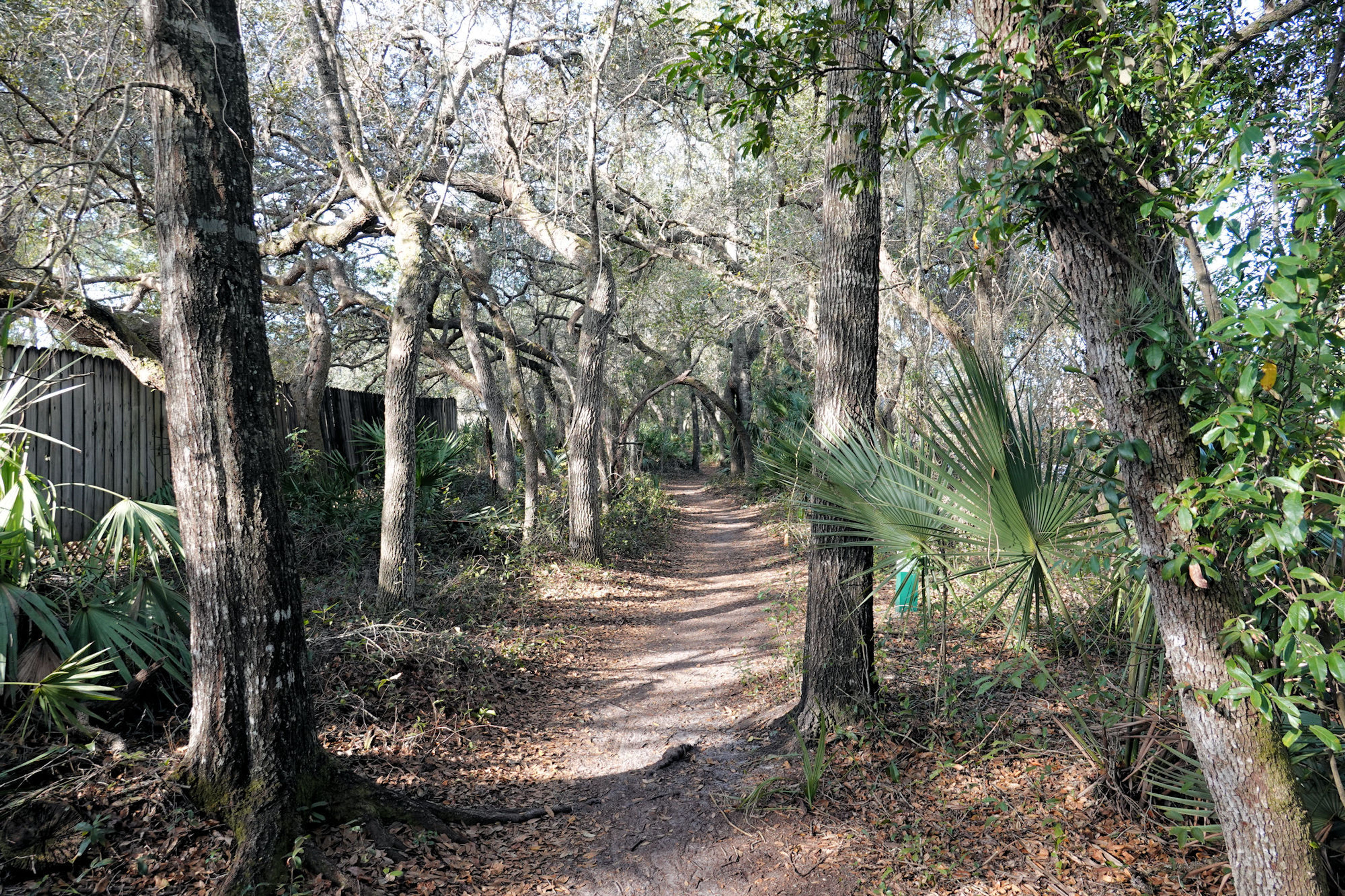 North of Snow Hill Road Trailhead. Photo by Jim Walla.