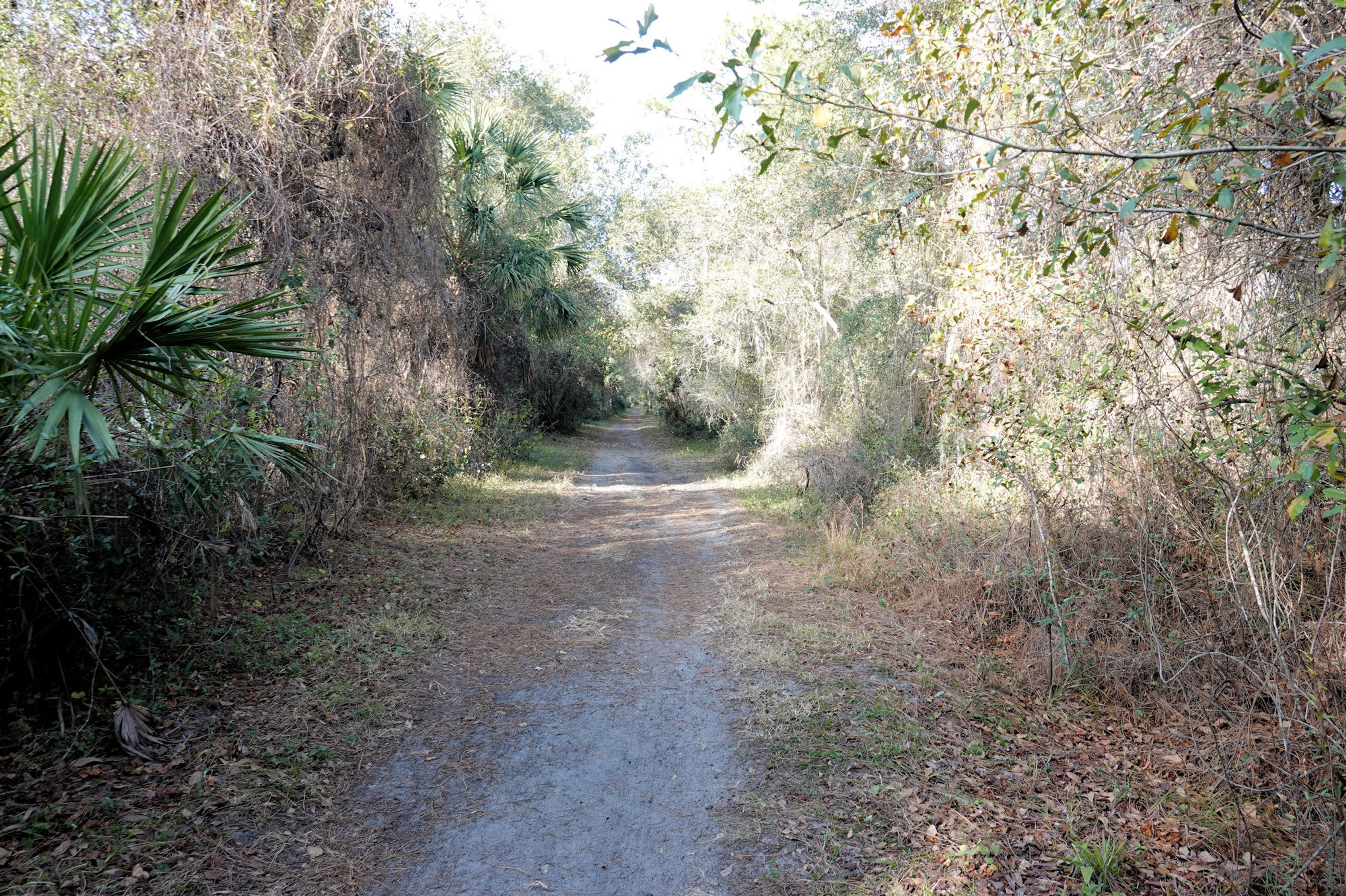 North of Snow Hill Road Trailhead. Photo by Jim Walla.