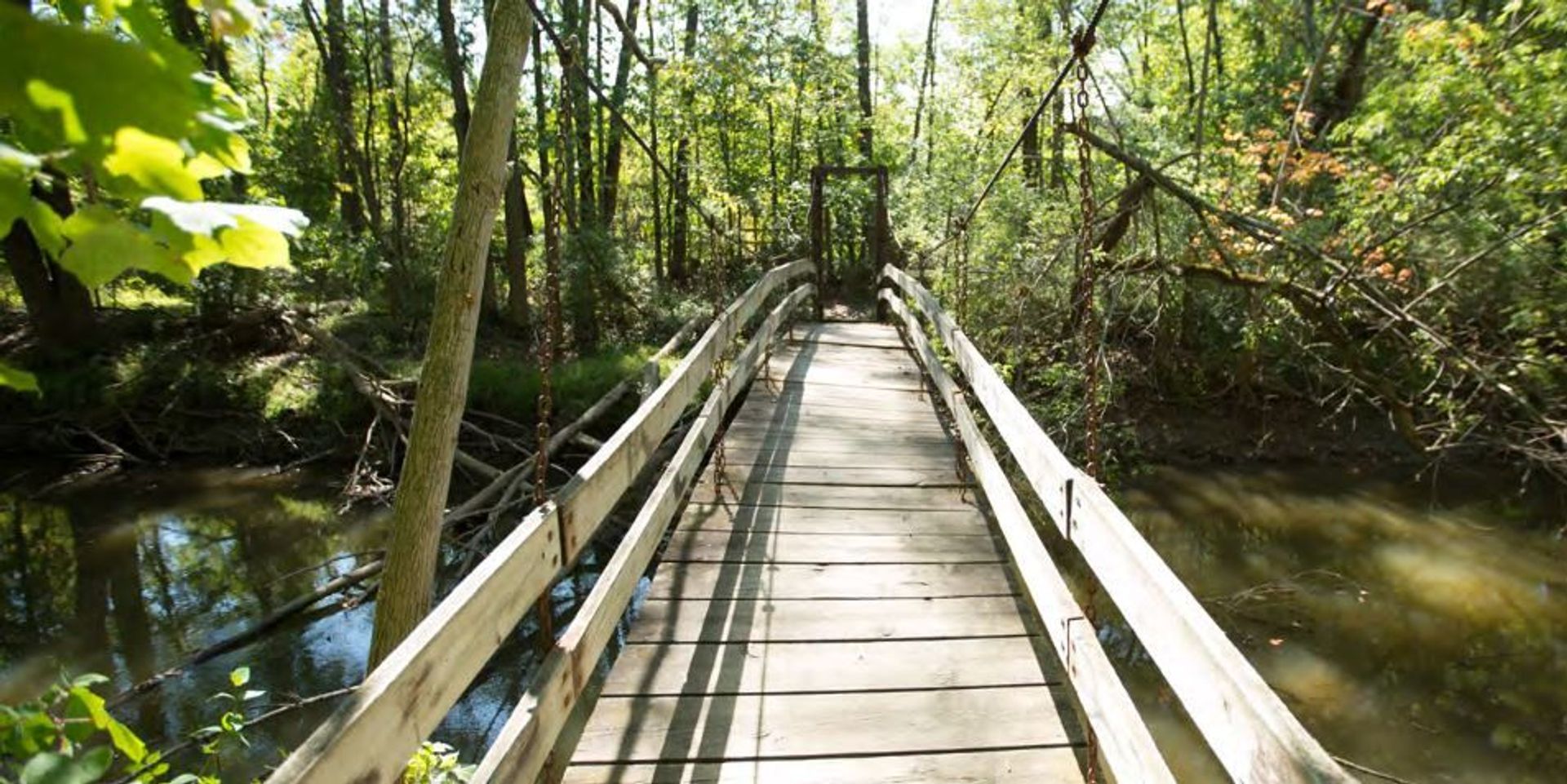 A footbridge on the preserve grounds.