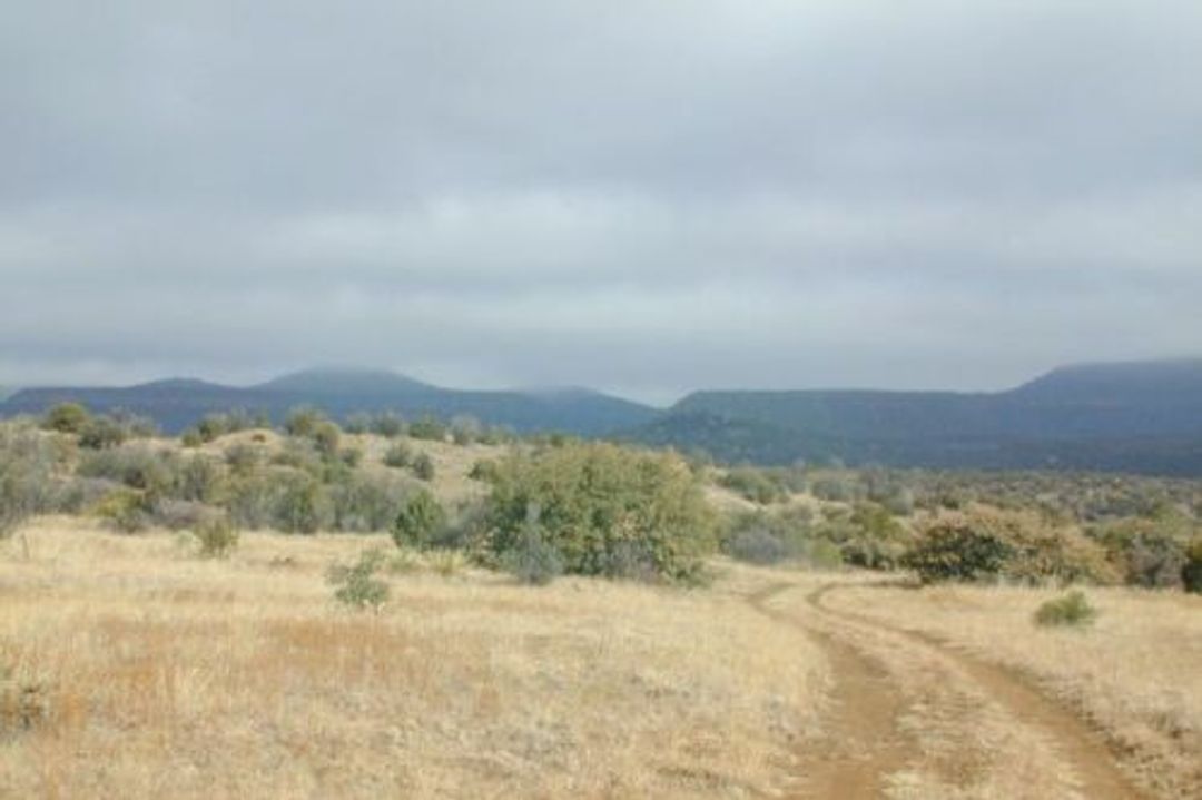 Wagon tracks. Photo by USDA Forest Service.