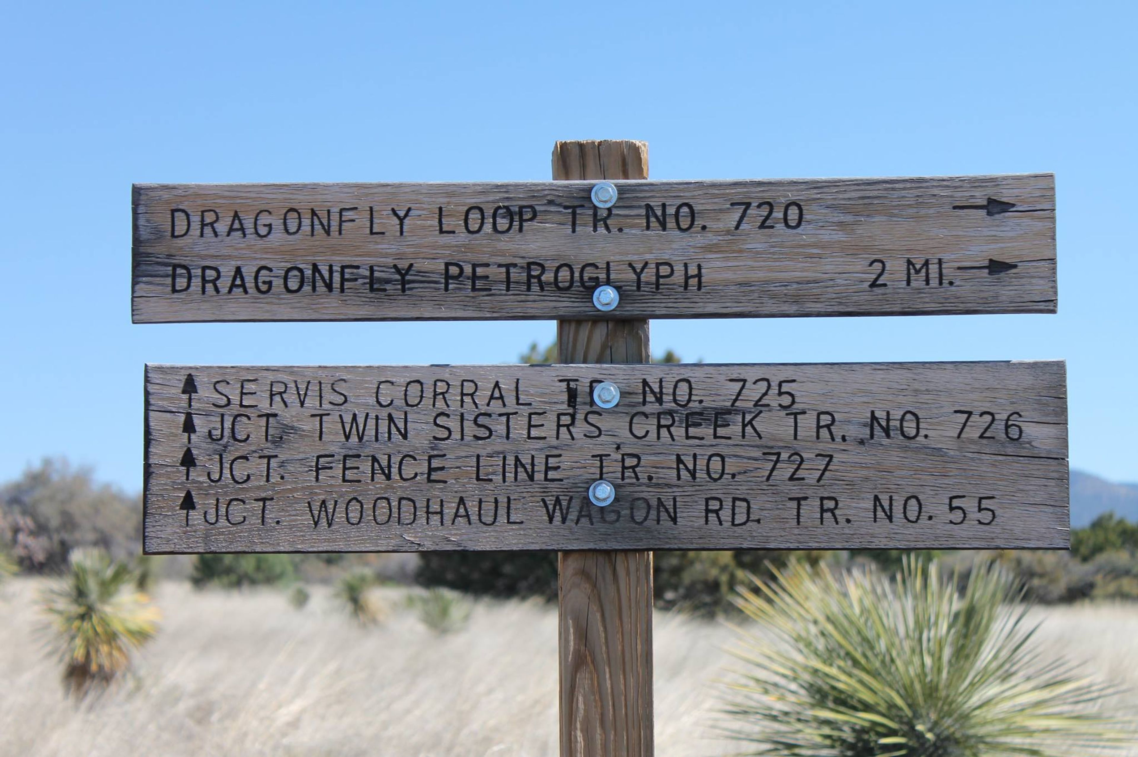 Fort Bayard Trail System sign. Photo by USFS.