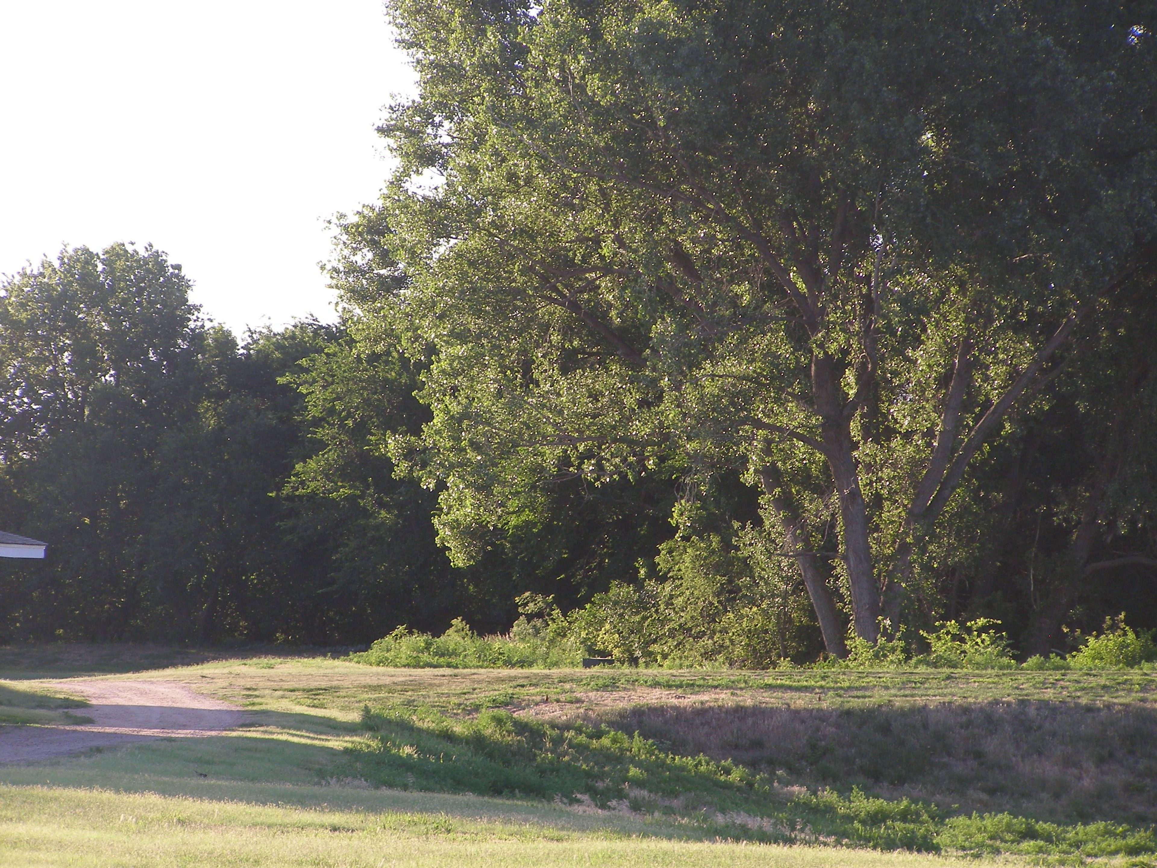 The bends and curves on the trail keep hikers in suspense.  What is around the bend?