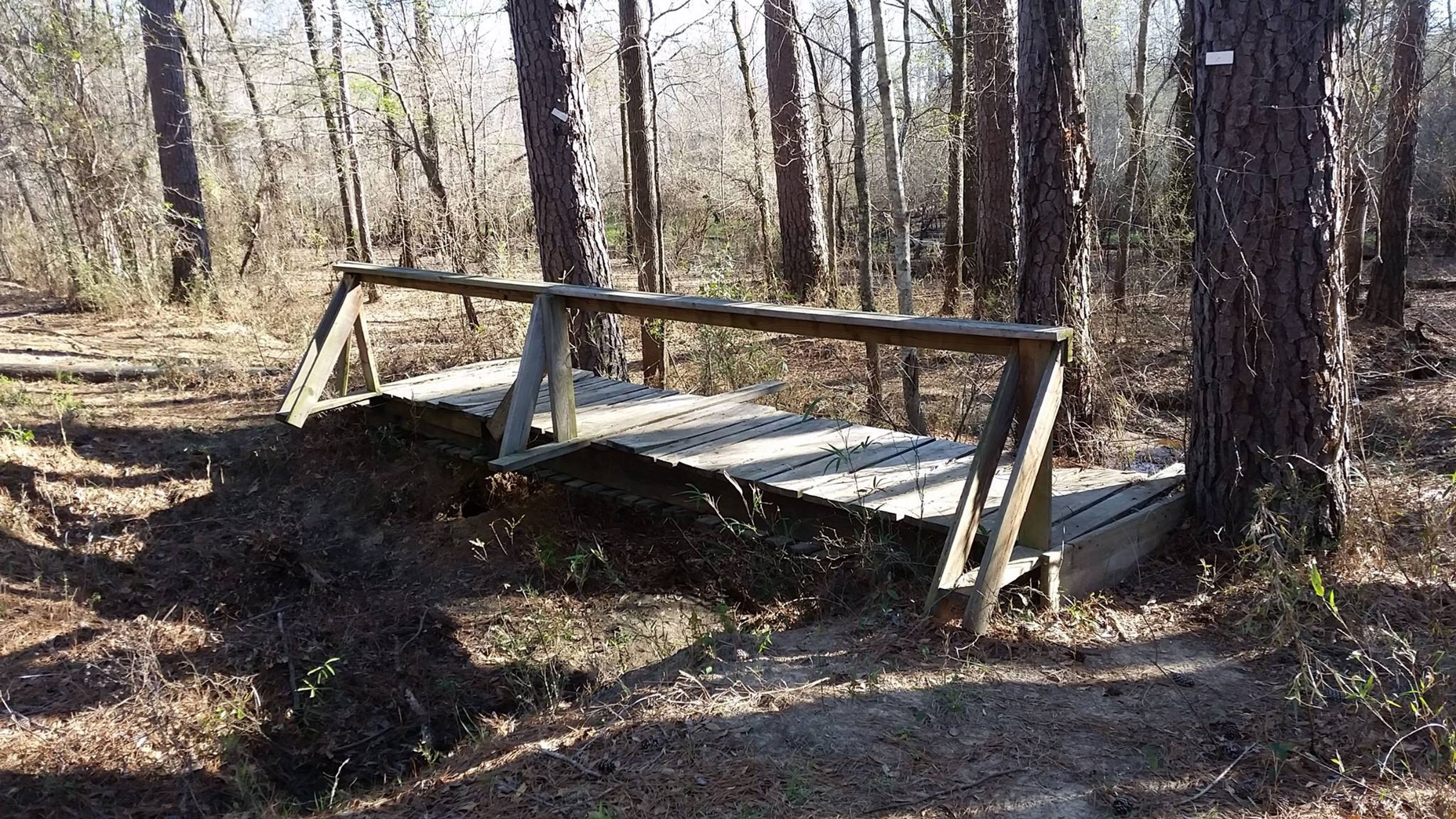 Bridge with handrail. Photo by Todd Shelley.