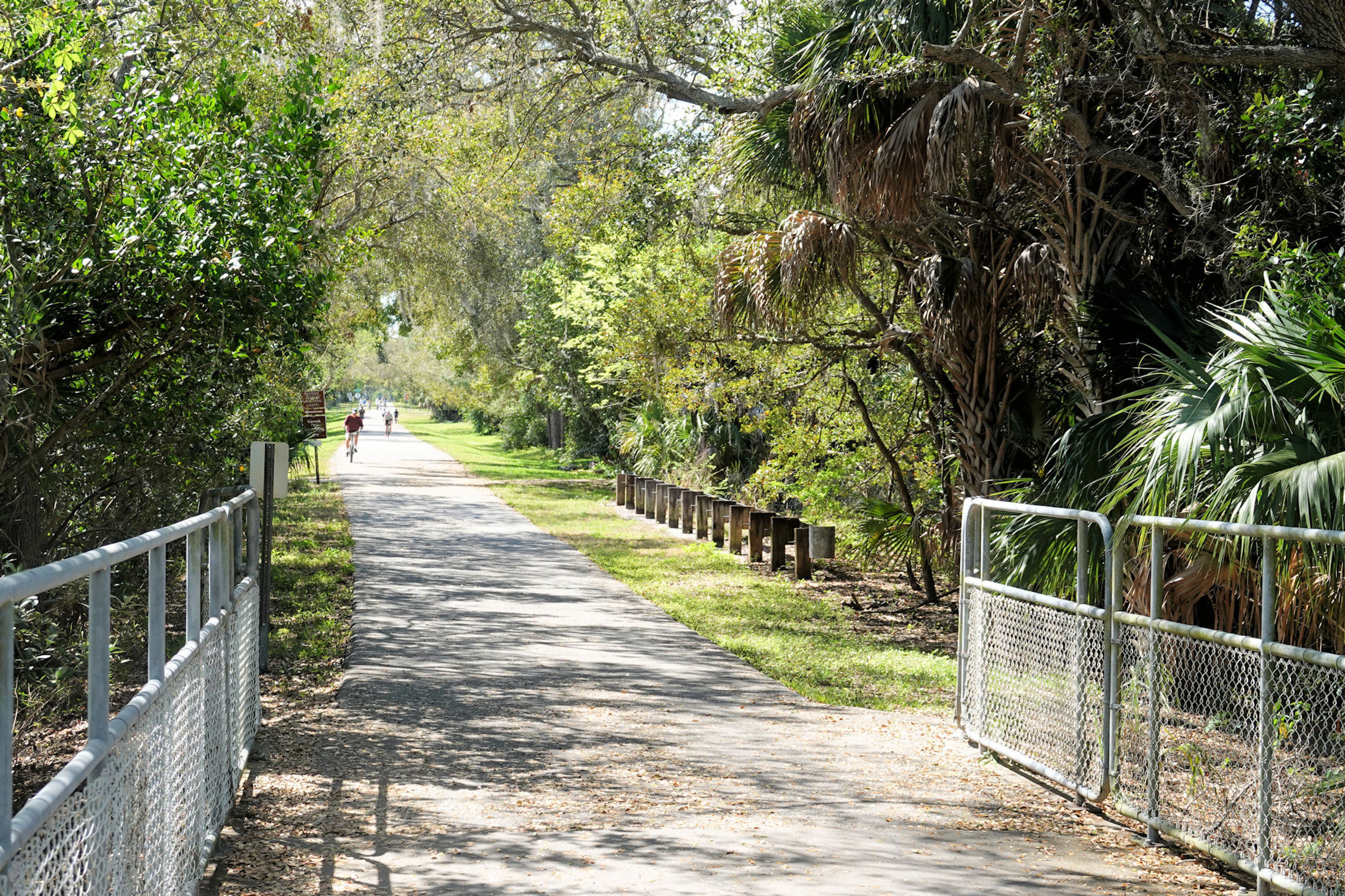 Pinellas Trail - near Hammock Park. Photo by Jim Walla.