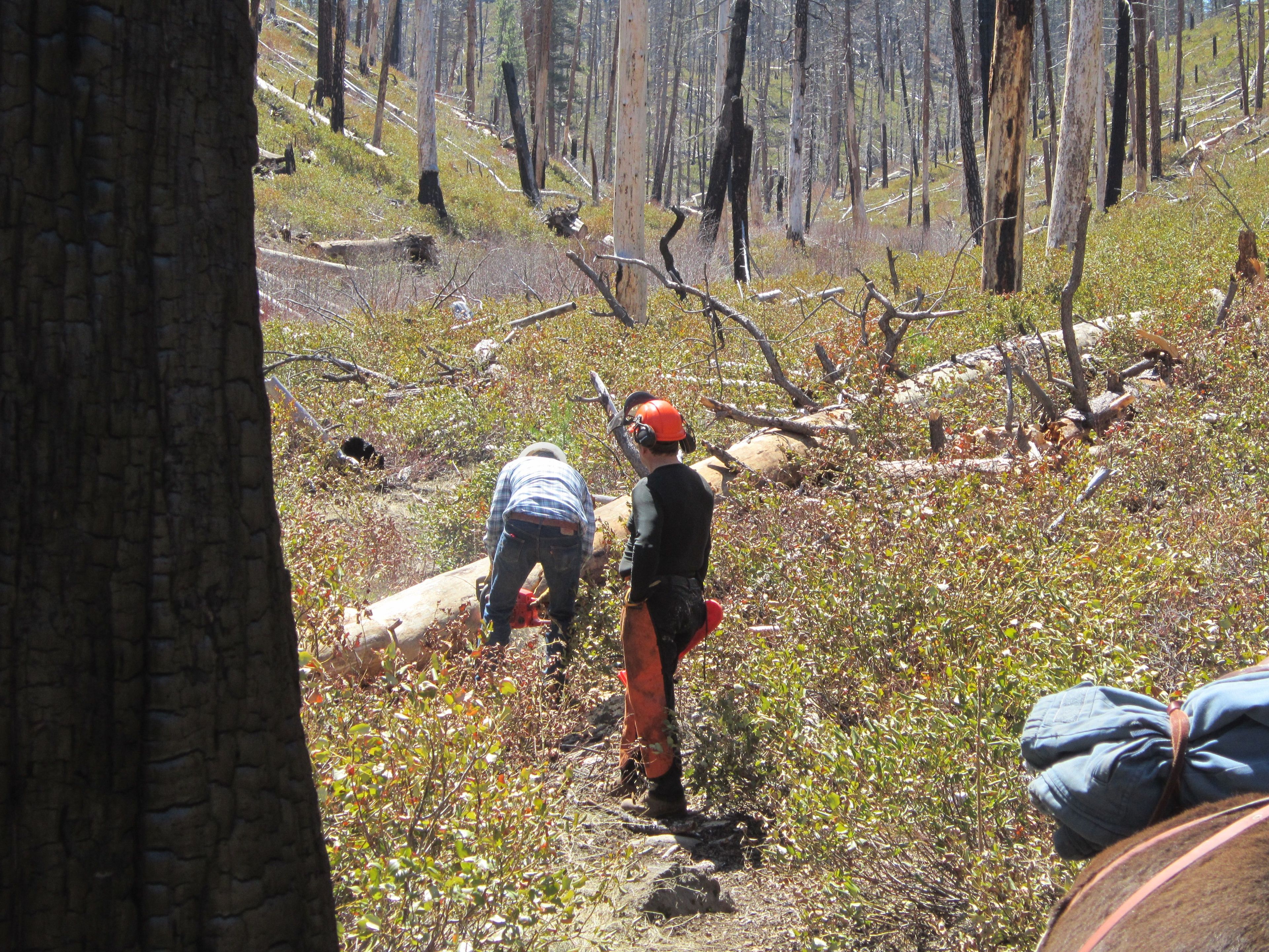 Silver Creek Marsh camp-trail clearing. Photo by Linda Thomas and Lane Thomas.