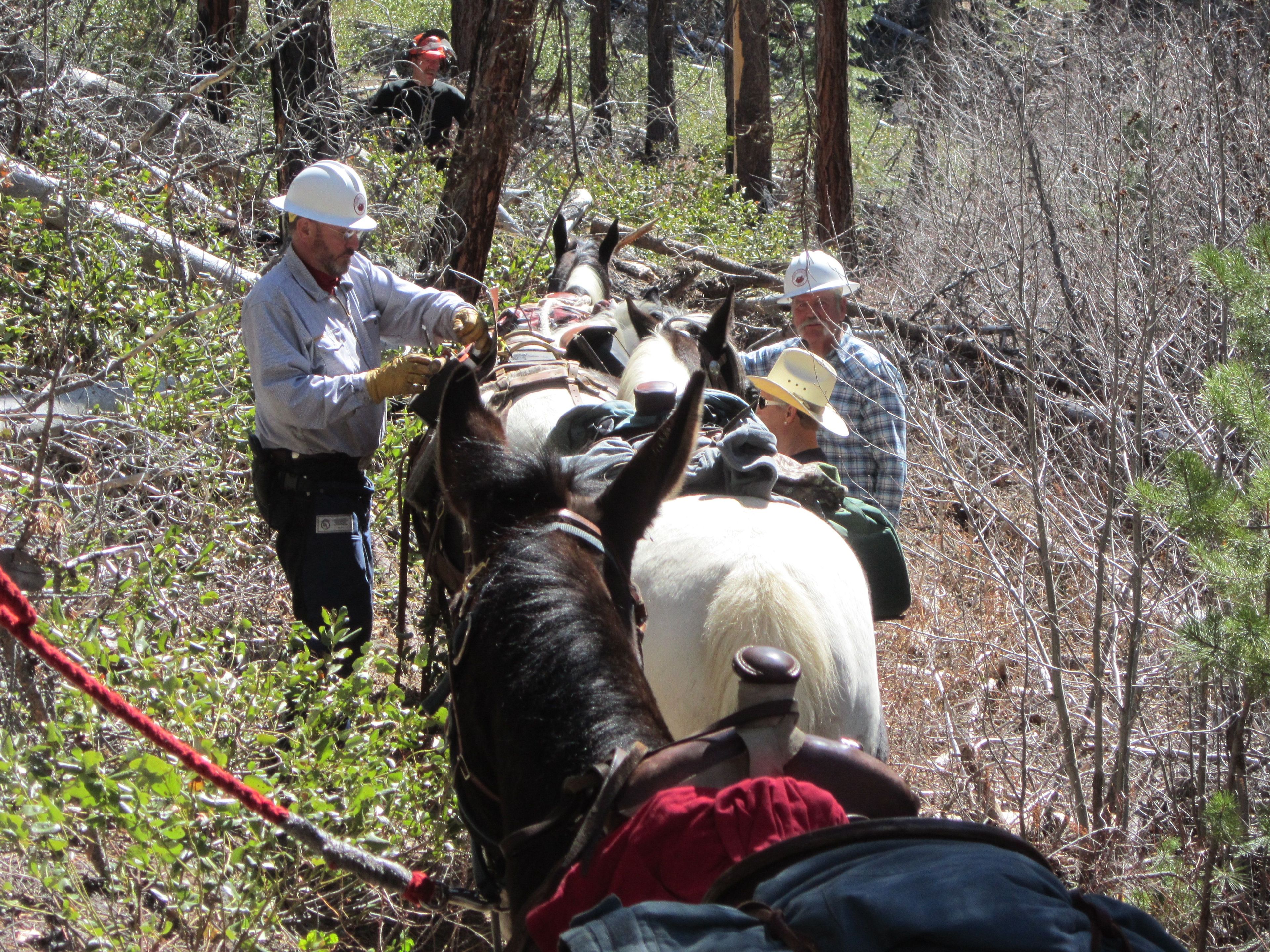 Silver Creek Marsh camp-trail clearing. Photo by Linda Thomas and Lane Thomas.