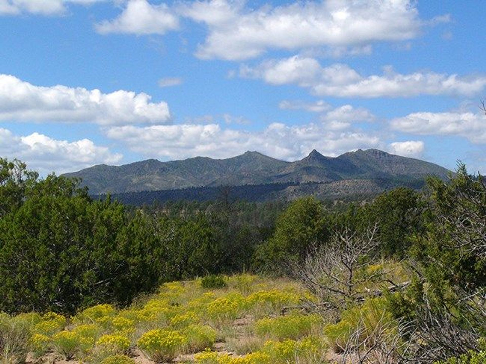 Frijolito Loop Trail passes through the Pinon-Juniper woodland and offers expansive views of the surrounding area. Photo by Sally King courtesy NPS.