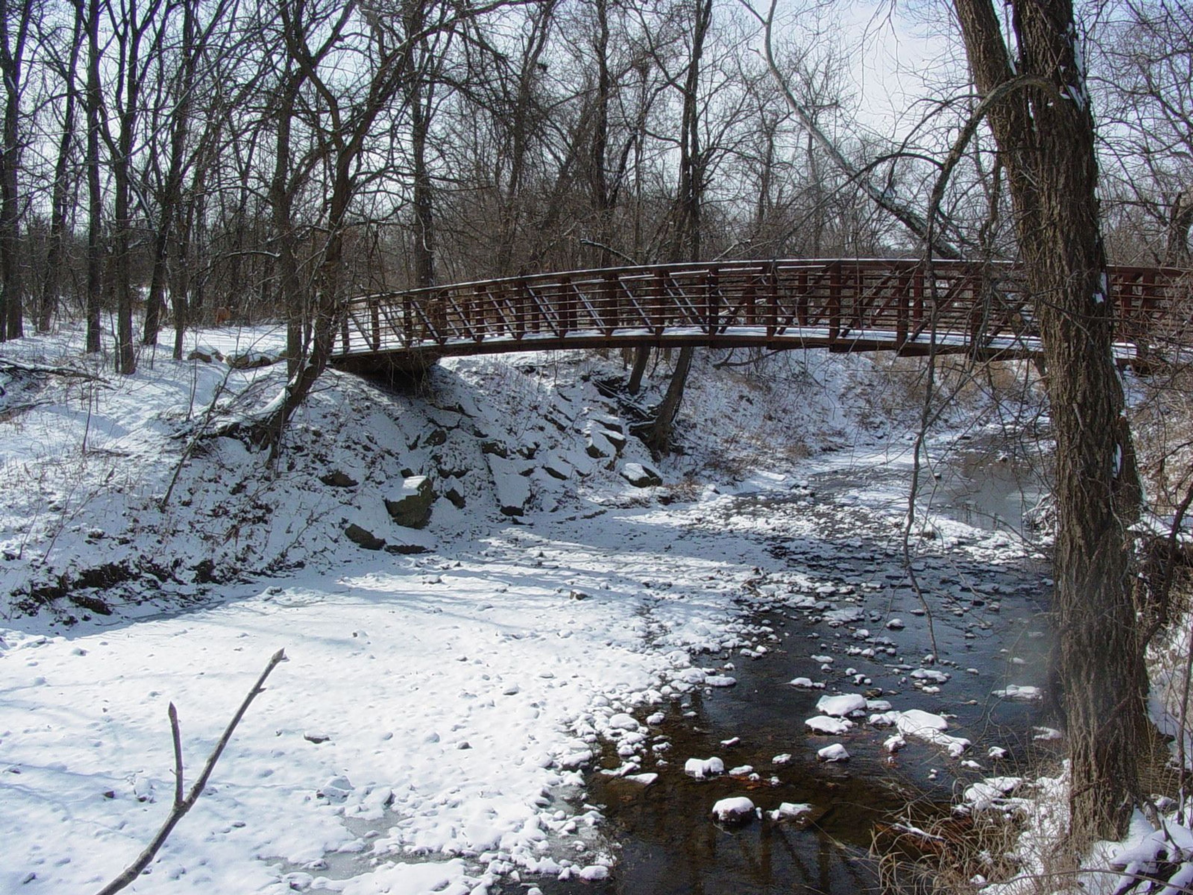 Frozen creek and bridge. Photo by Bill Maasen.