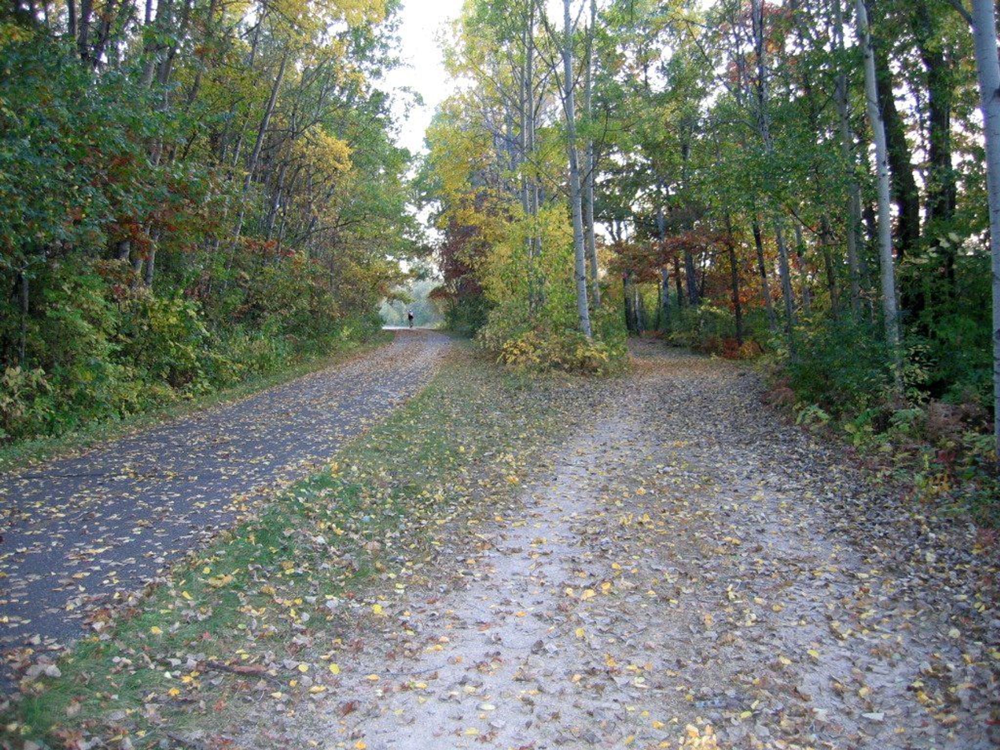 A section of the Gateway State Trail with parallel paved and unpaved trackways. Photo by Akkrenkel.