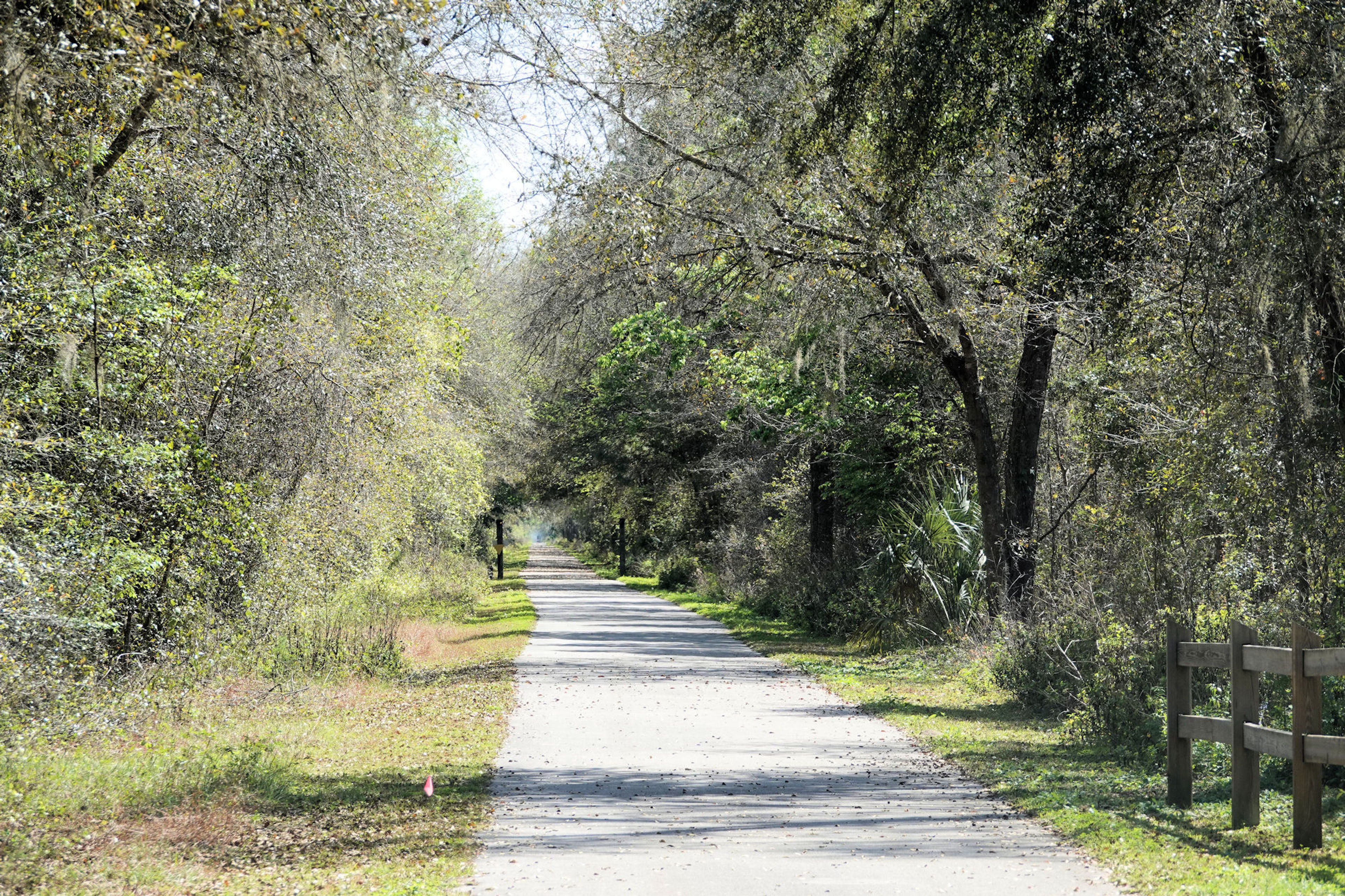 General James A. Van Fleet trail - photo was taken near the northernmost end of the trail. Photo by Jim Walla.