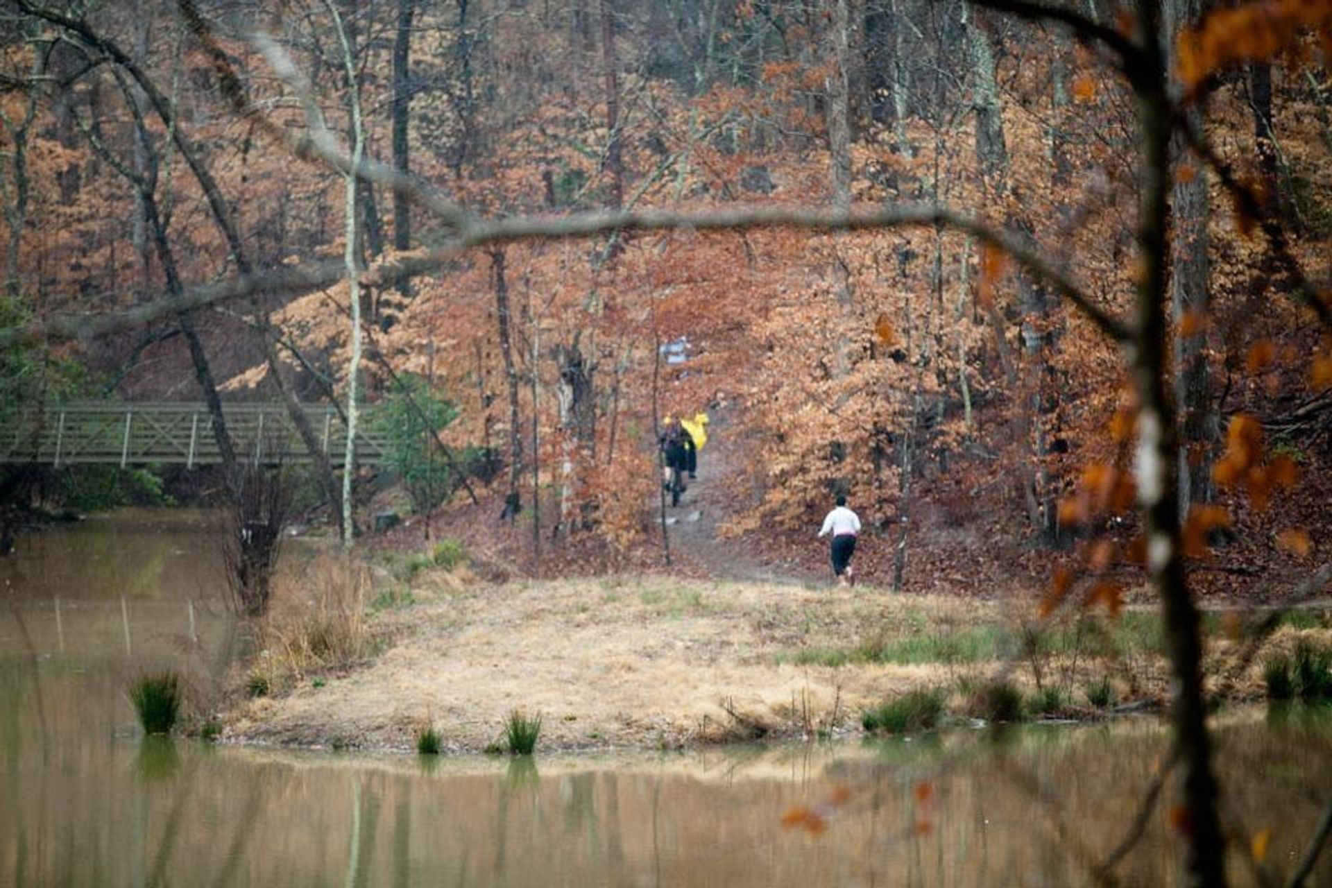 Race for RARE Bridge Runners