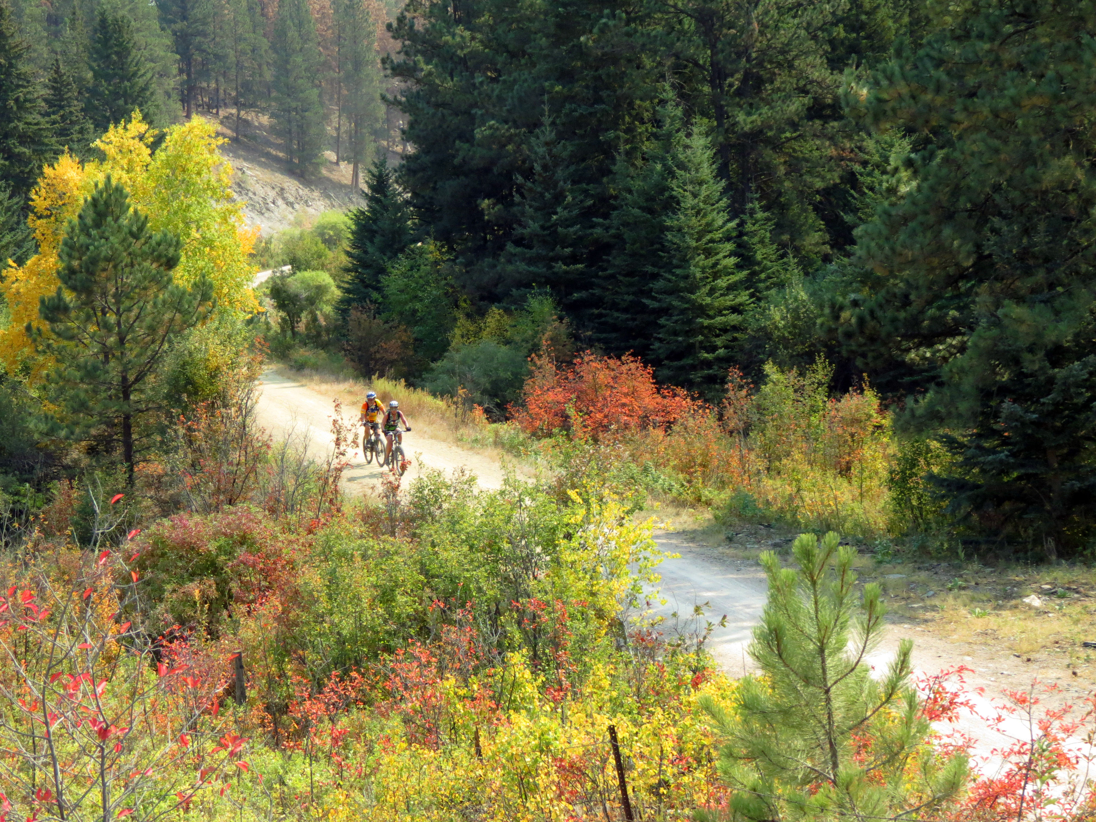 The George S. Mickelson Trail has beautiful fall colors. Photo by Brooke Smith.