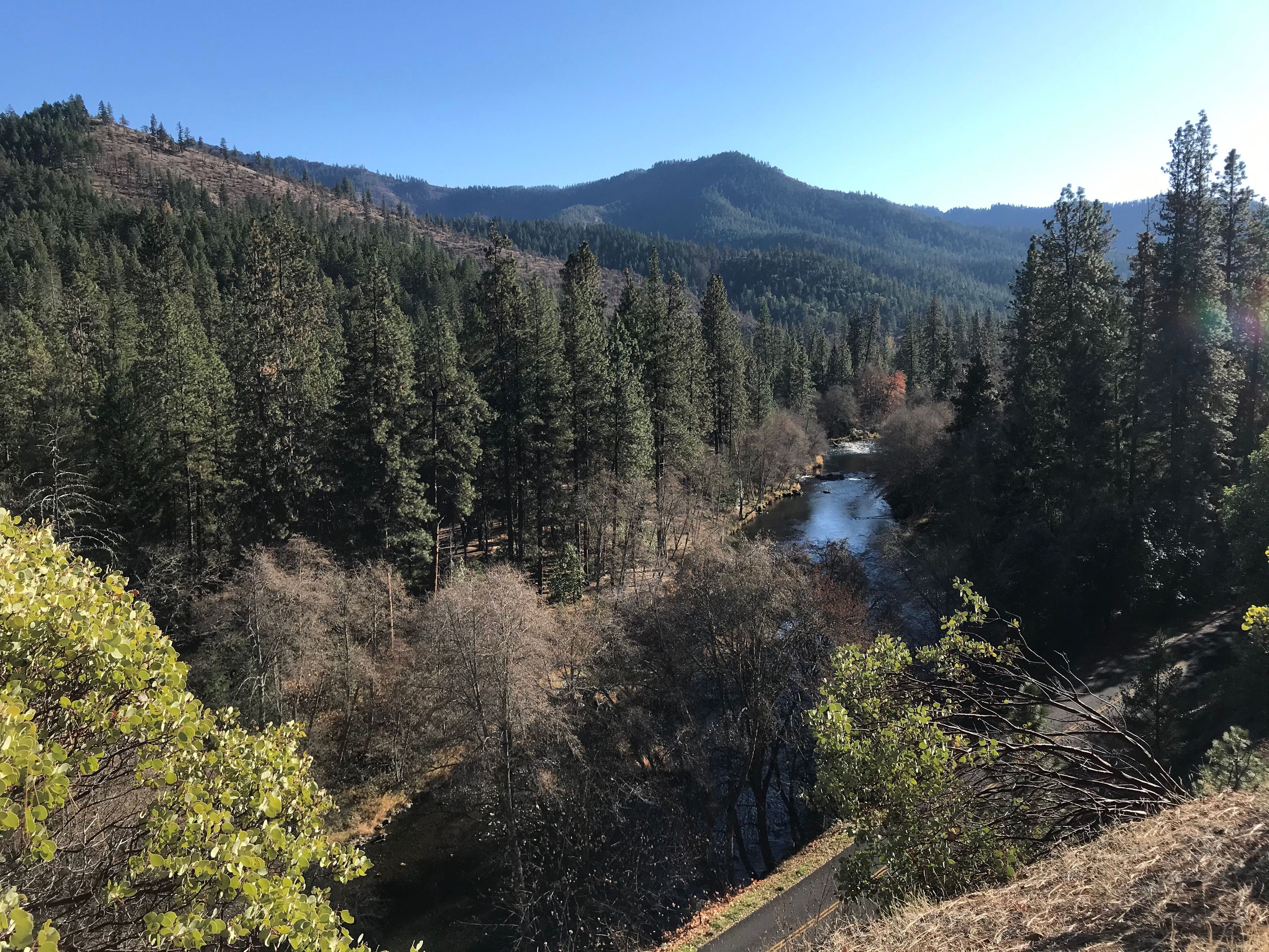 Applegate River from the trail. Photo by Pam Riches.