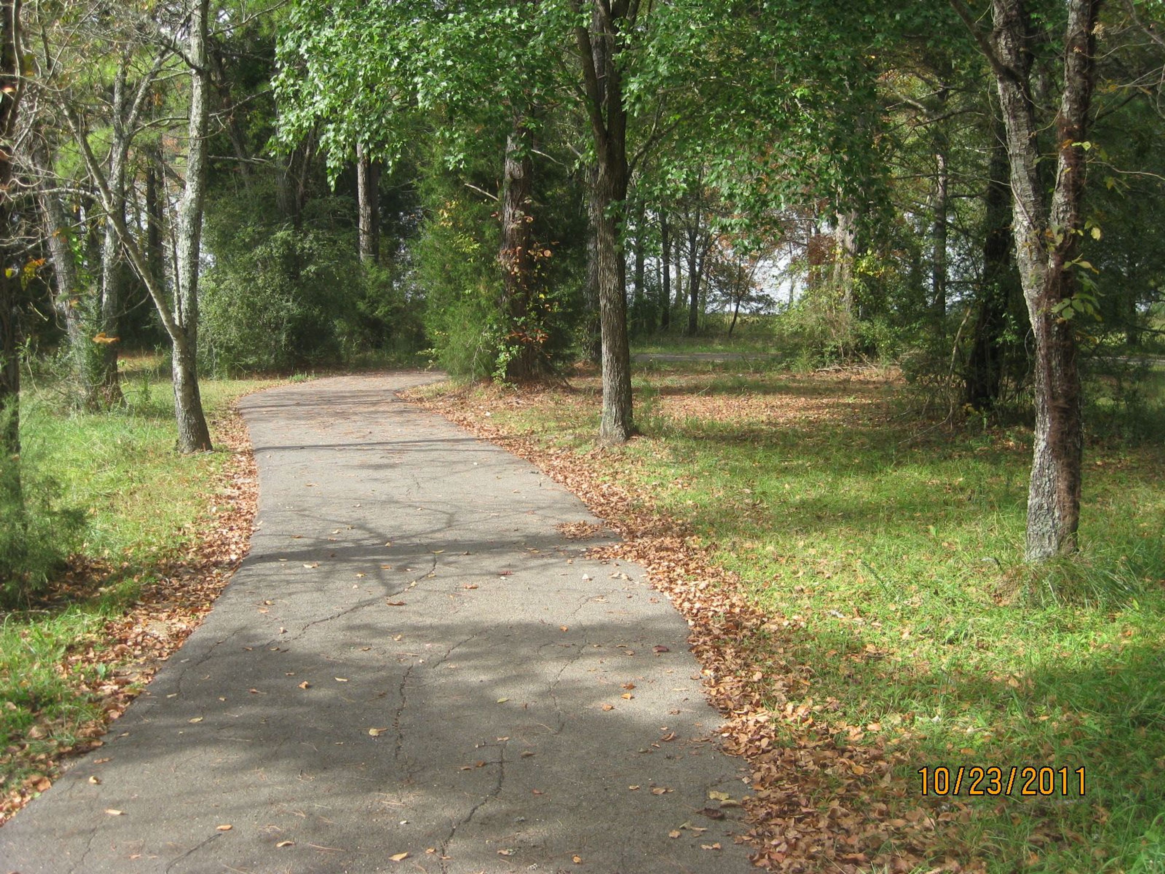 Trail thru woods