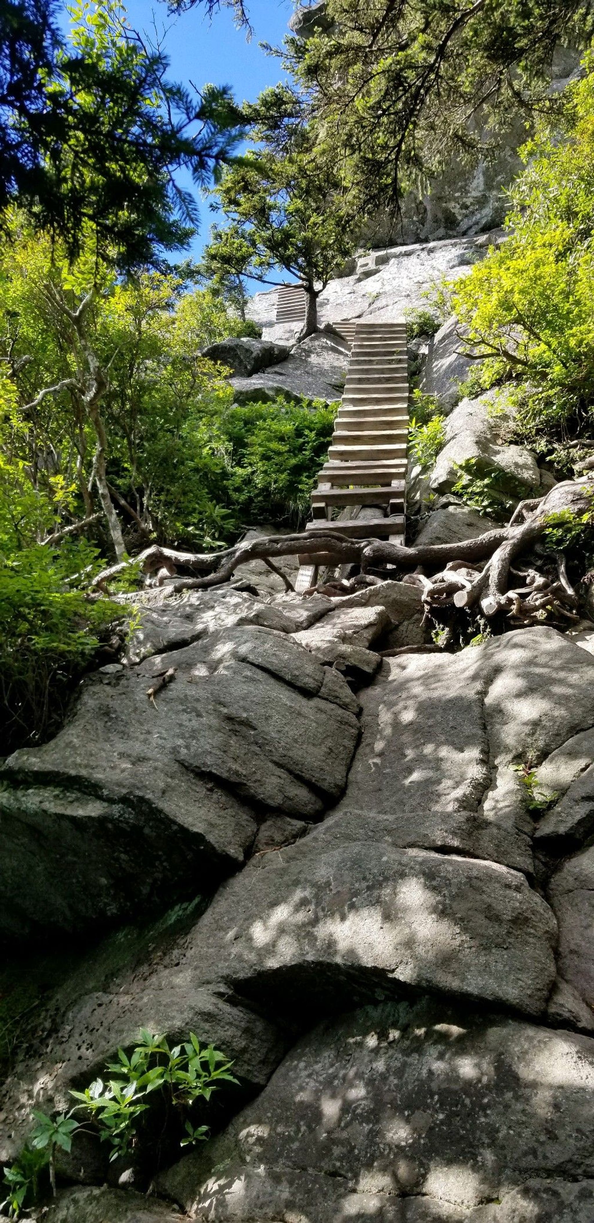 Ladders climbing up to MacRae Peak. Photo by John Caveny.