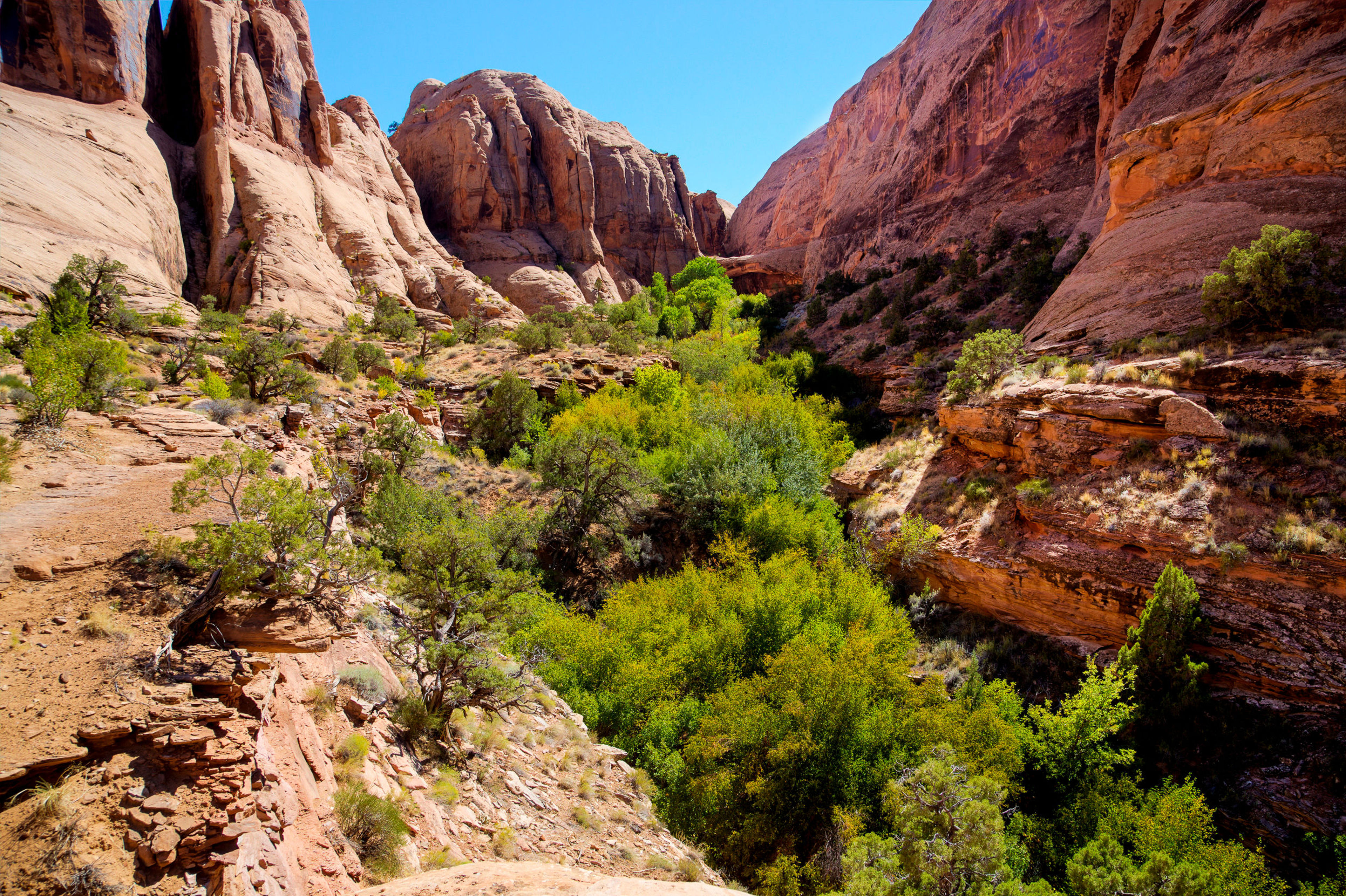 Morning Glory Natural Bridge in distance off Grandstaff Canyon Trail