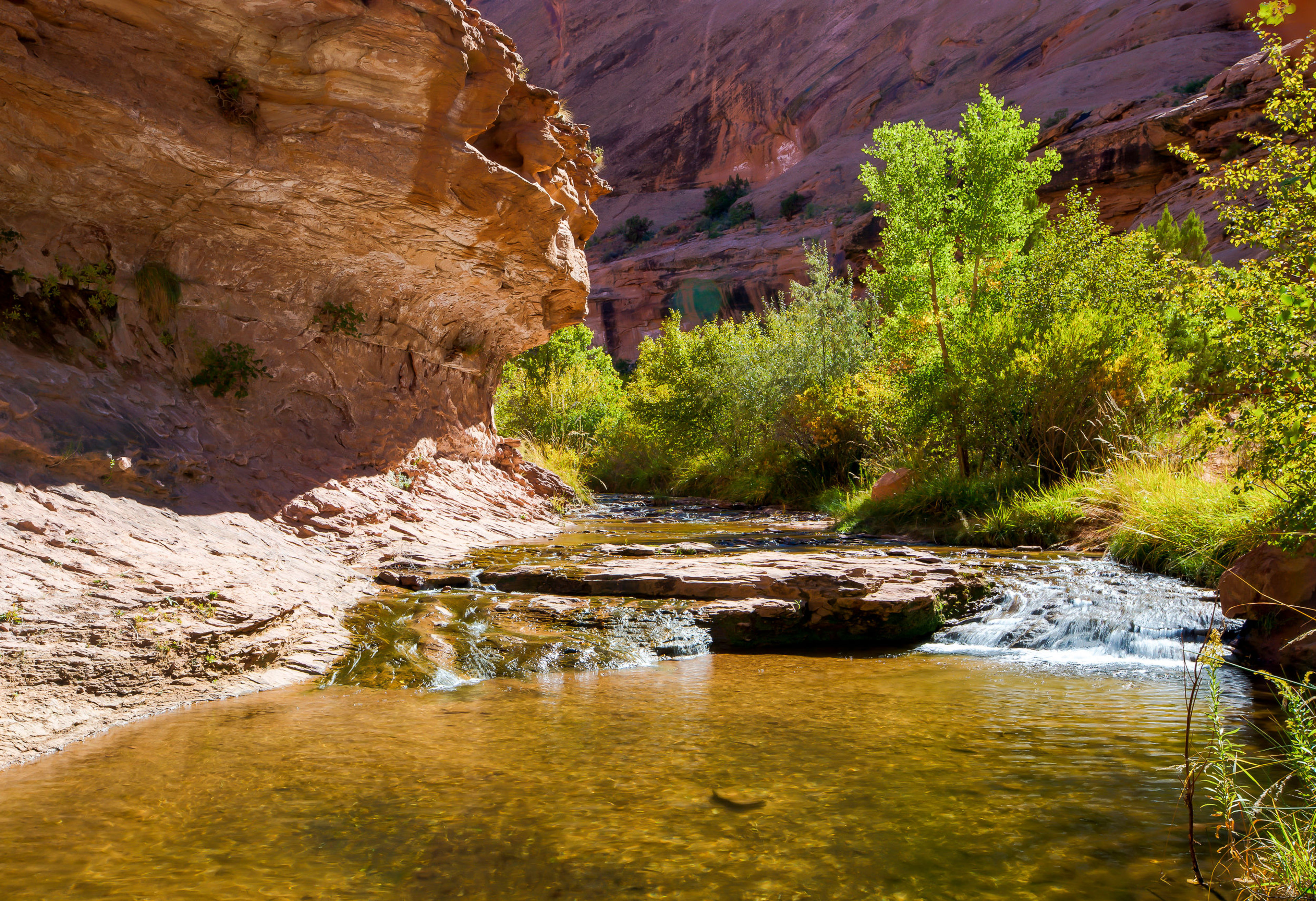 Stream in Grandstaff Canyon