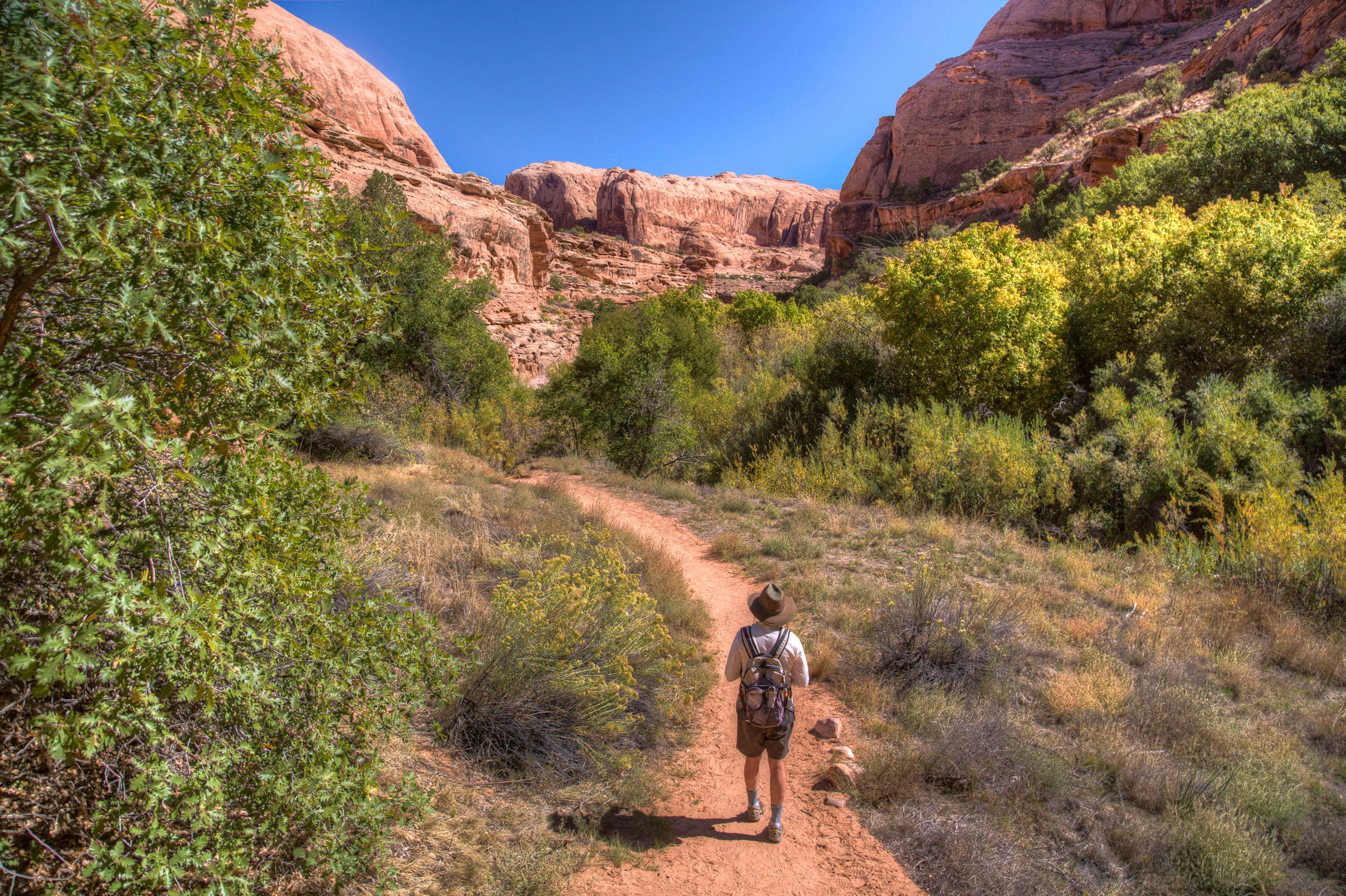 Hiker on trail