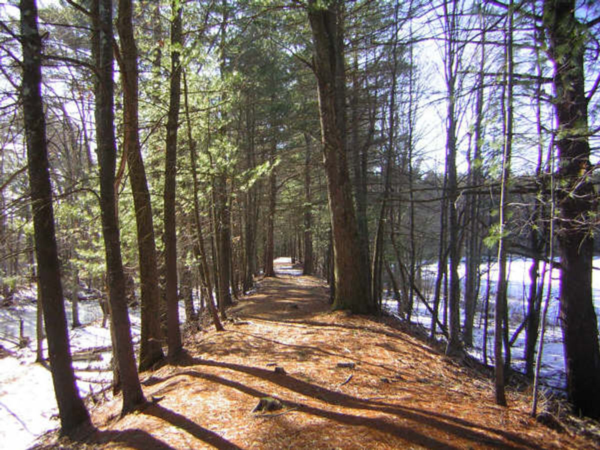 Raised trail bed rises above the snow, Brimfield, MA. Photo by Scott Benoit.