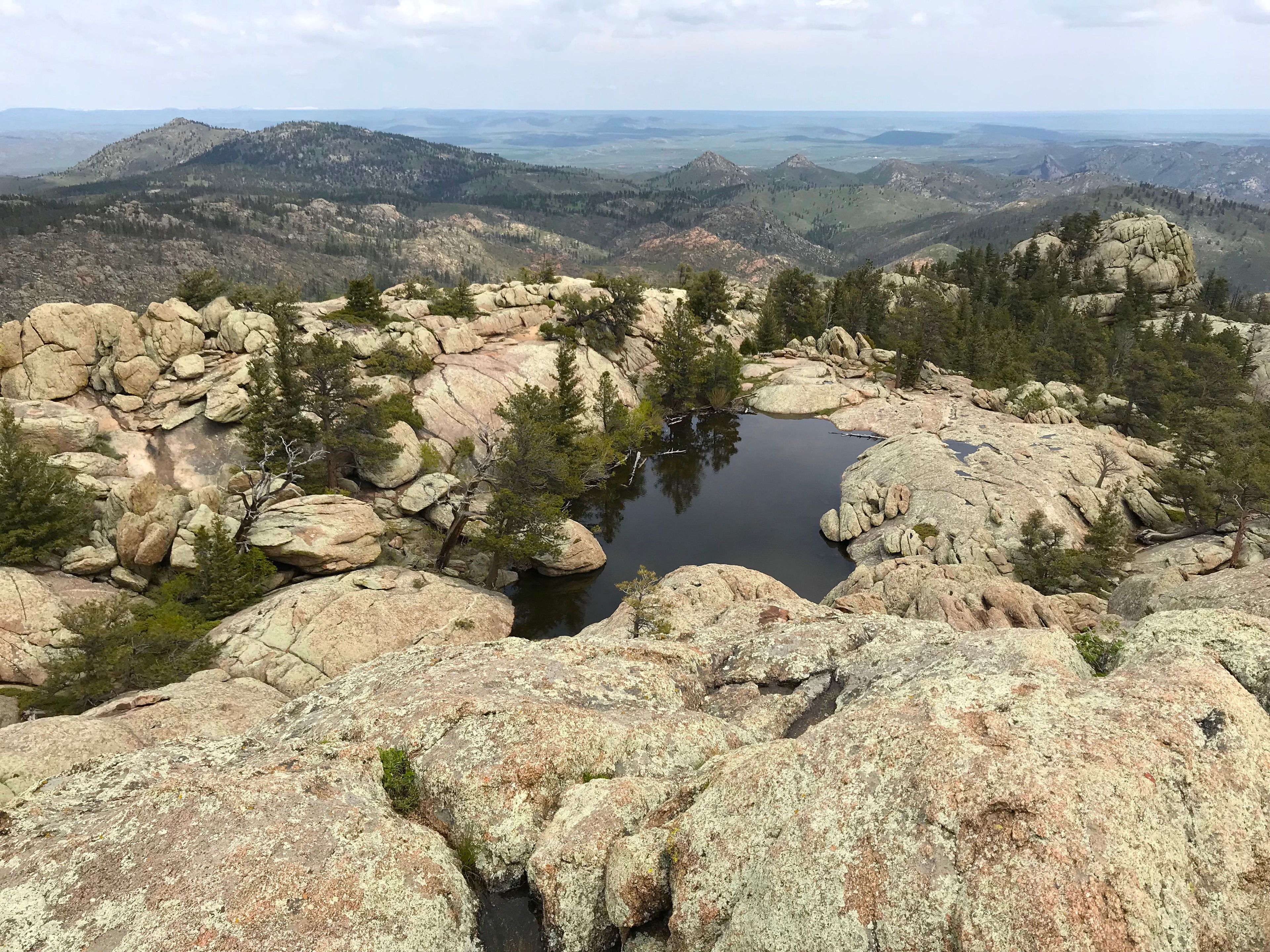 The summit looking east. Photo by Pam Riches.