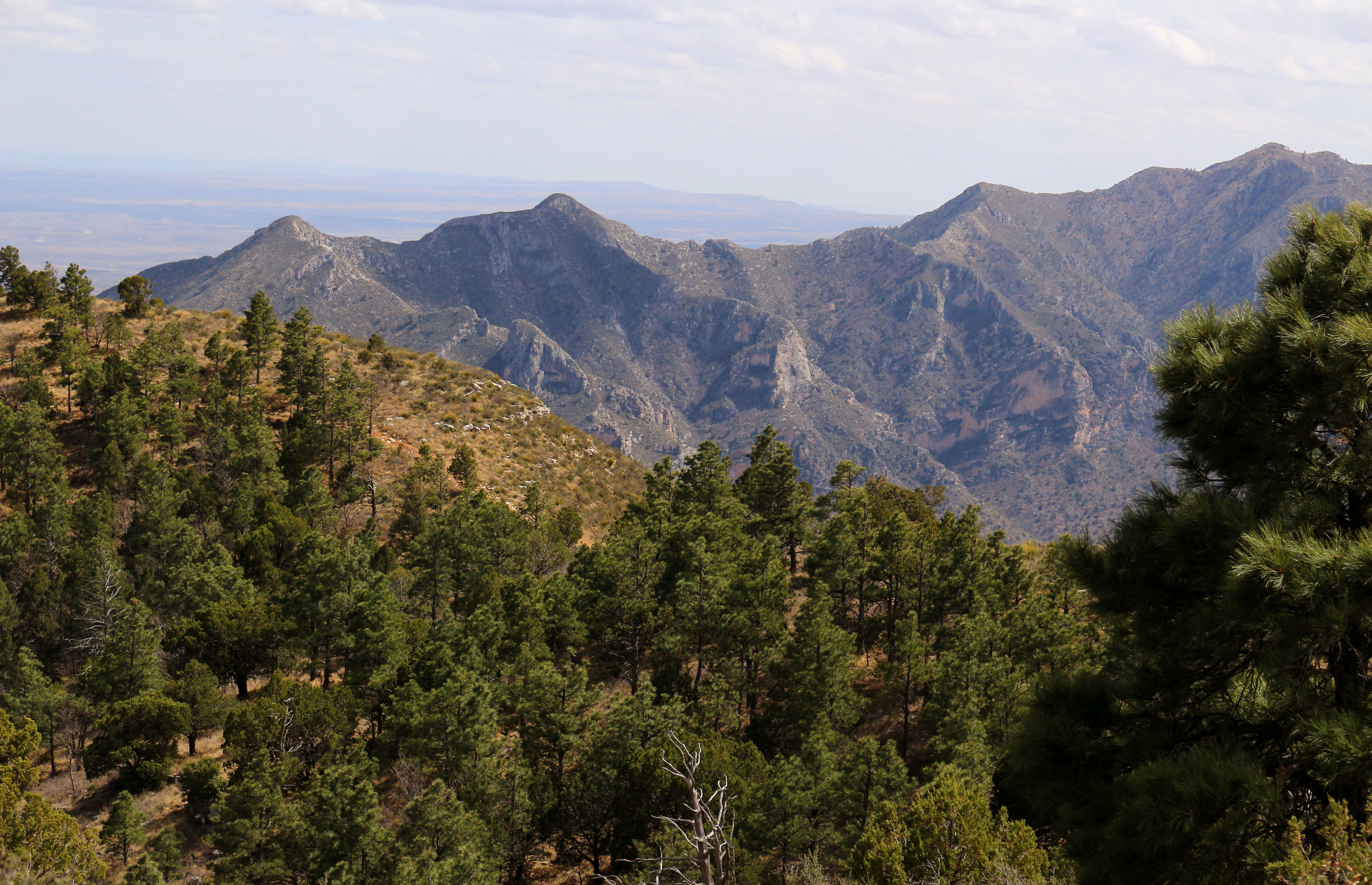 View of Lincoln National Forest from the Guadalupe Ridge Trail, New Mexico. Credit: High Pointers Foundation and Colorado Mountain Club