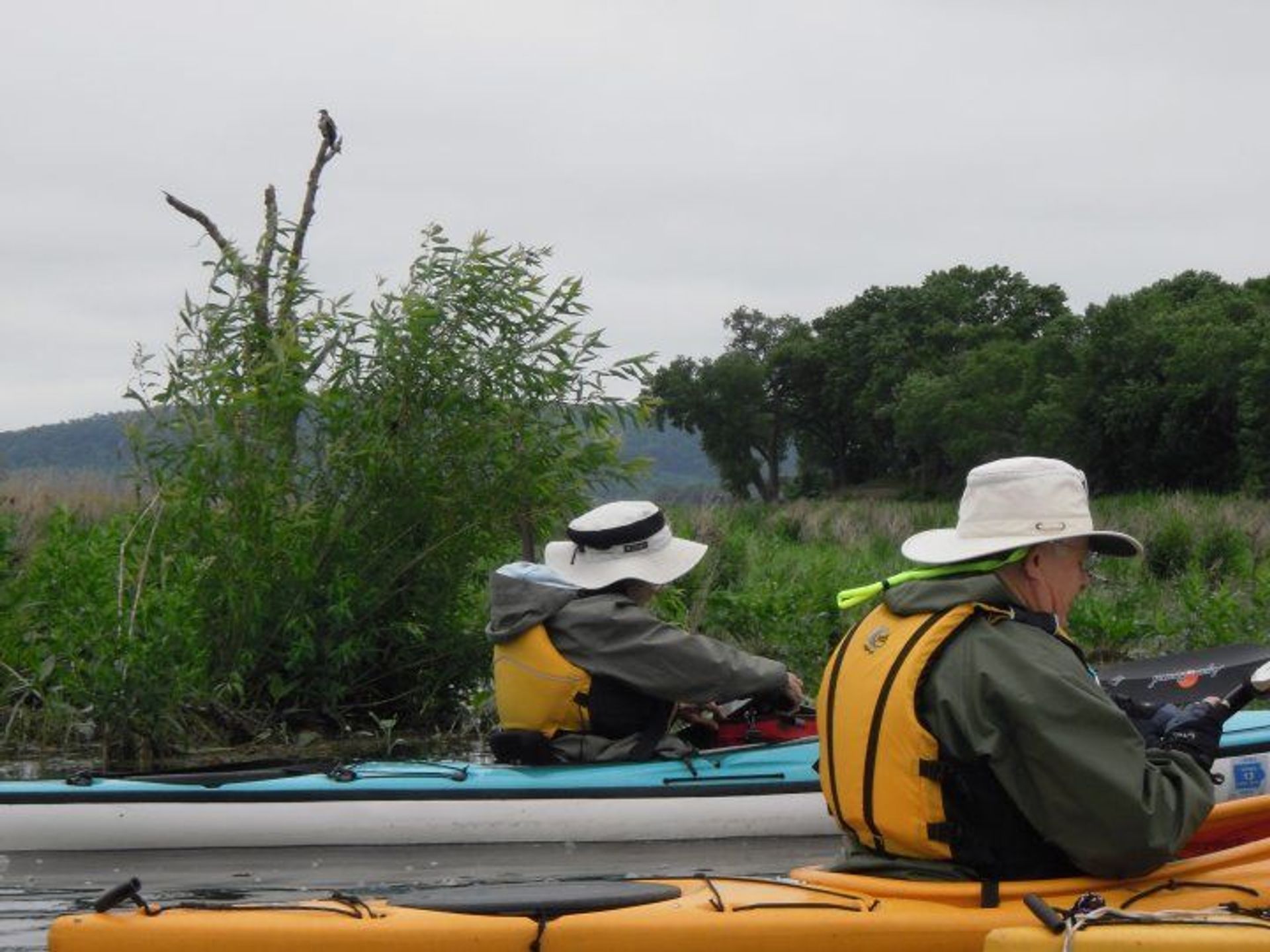 Halfmoon Lake Canoe Trail