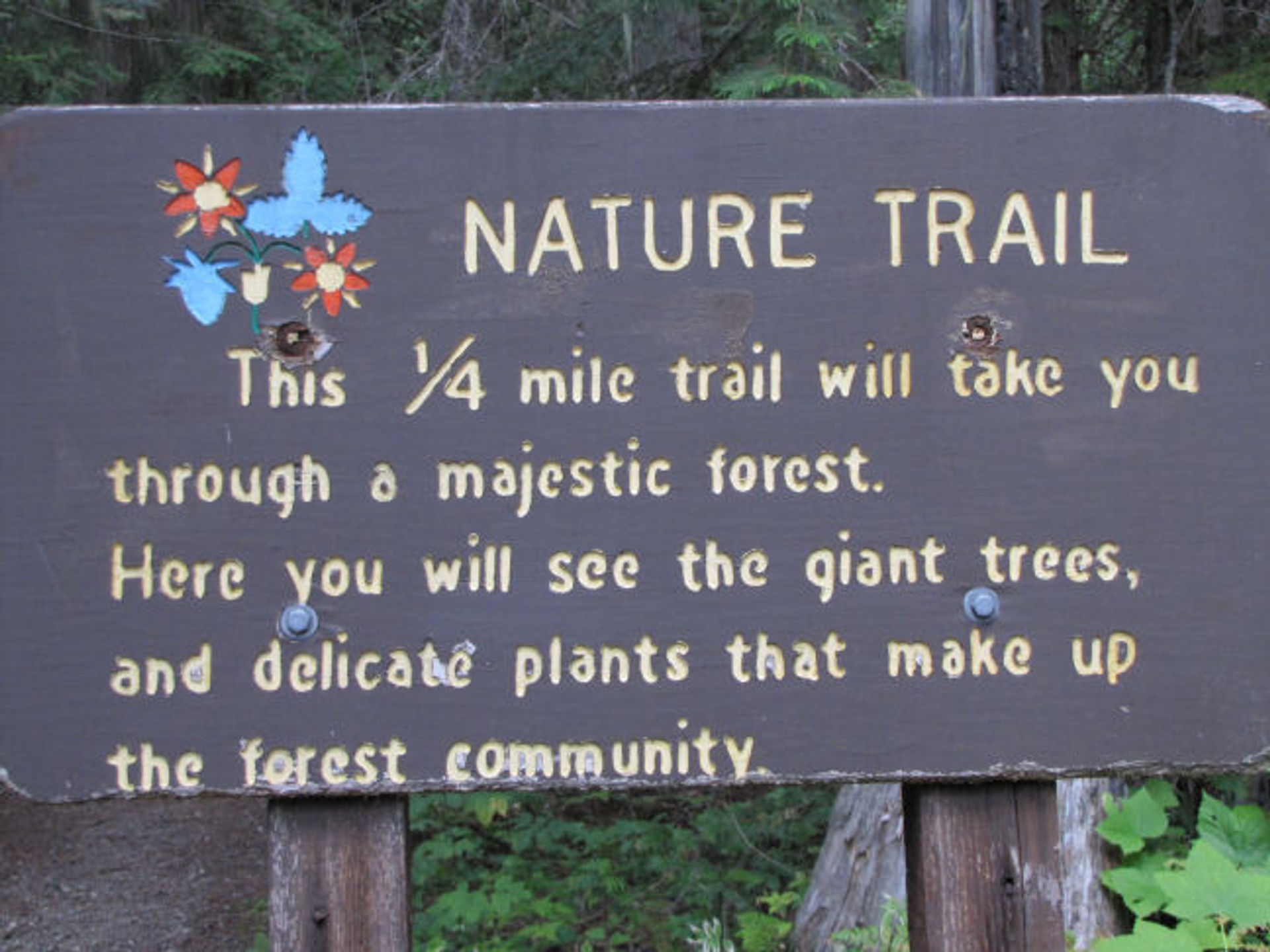 Nature trail signage. Photo by Sheila Barnes.