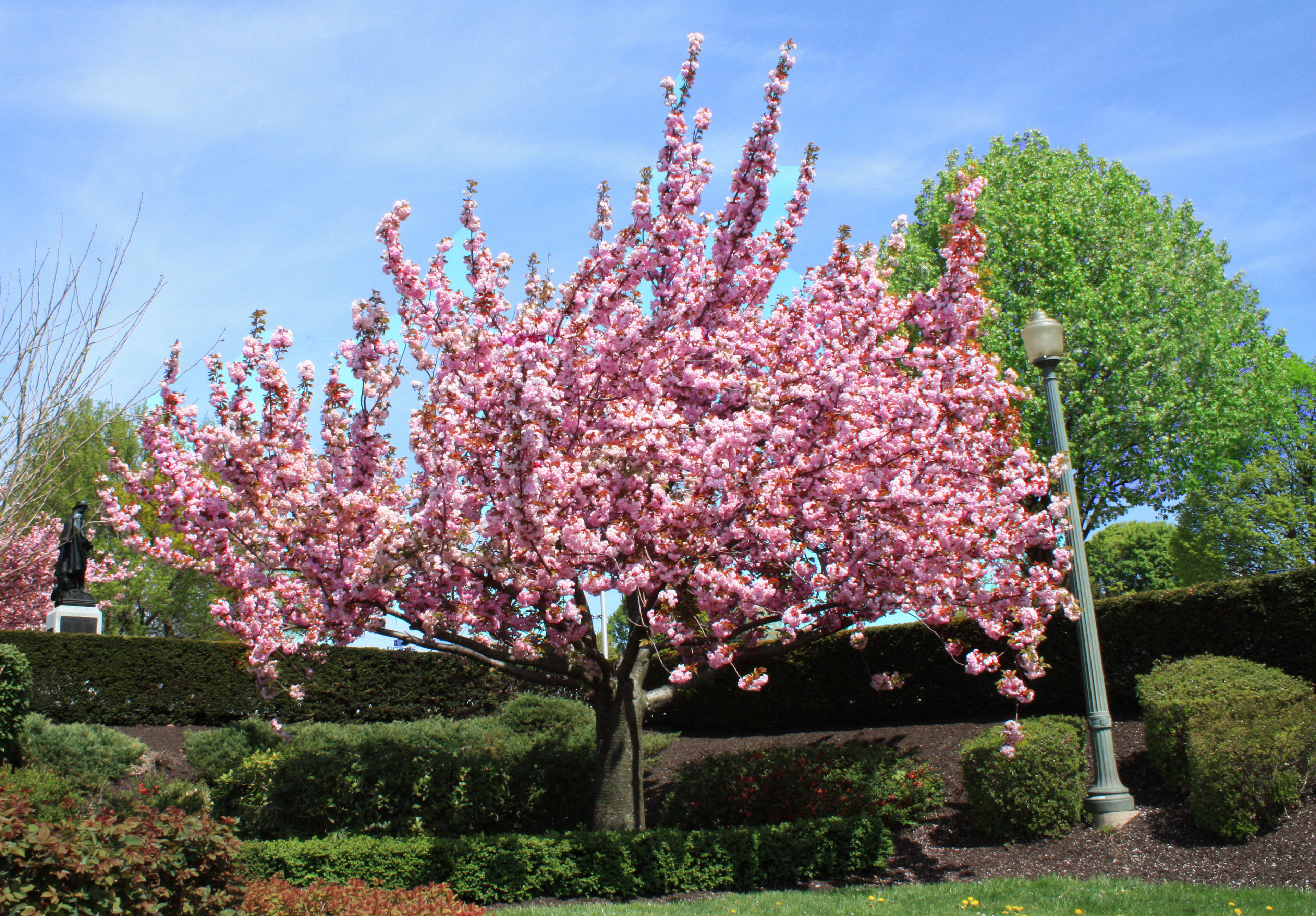 Sunken Garden. Photo by Milton Neidlinger.