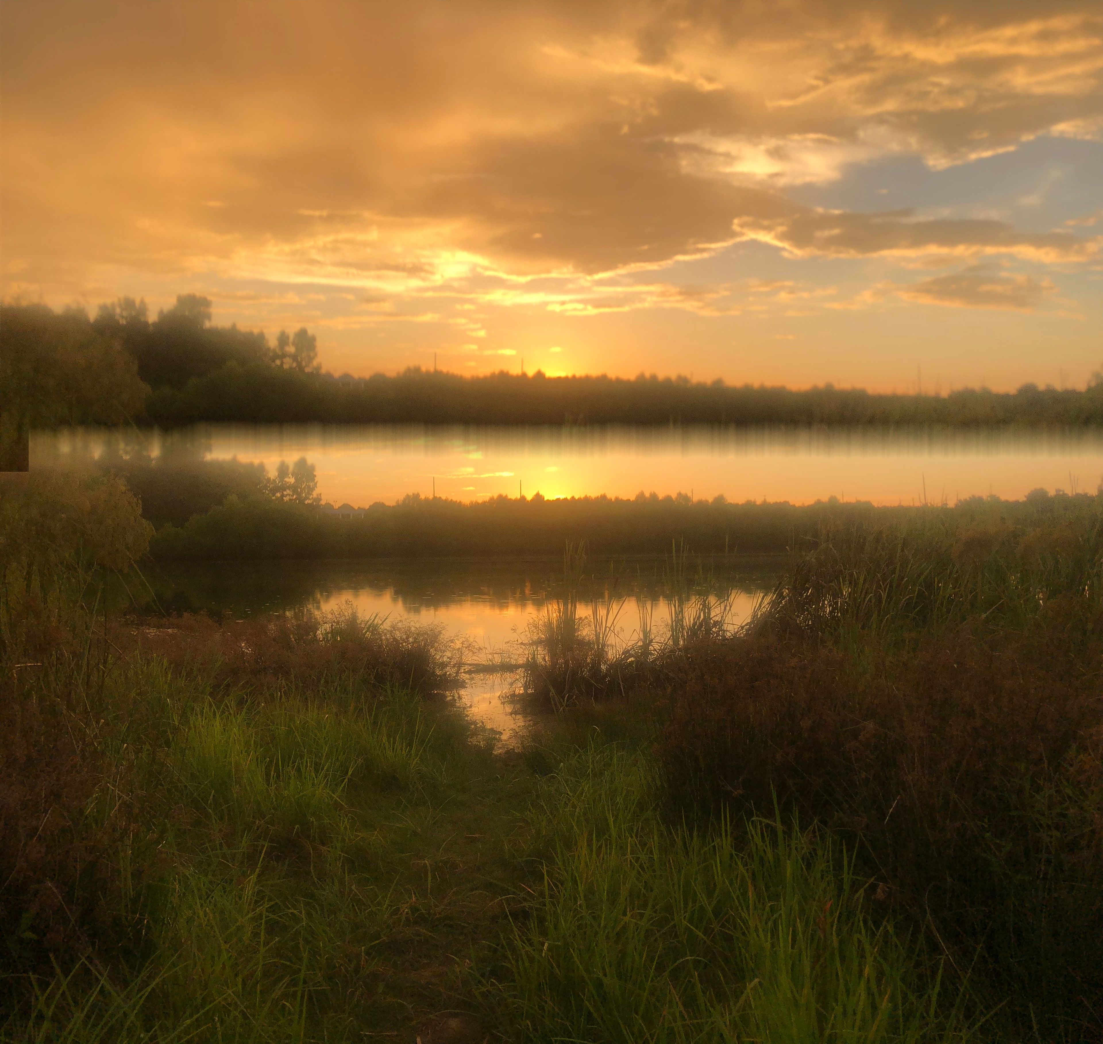 At the Ponds. Photo by Virginia Barber.