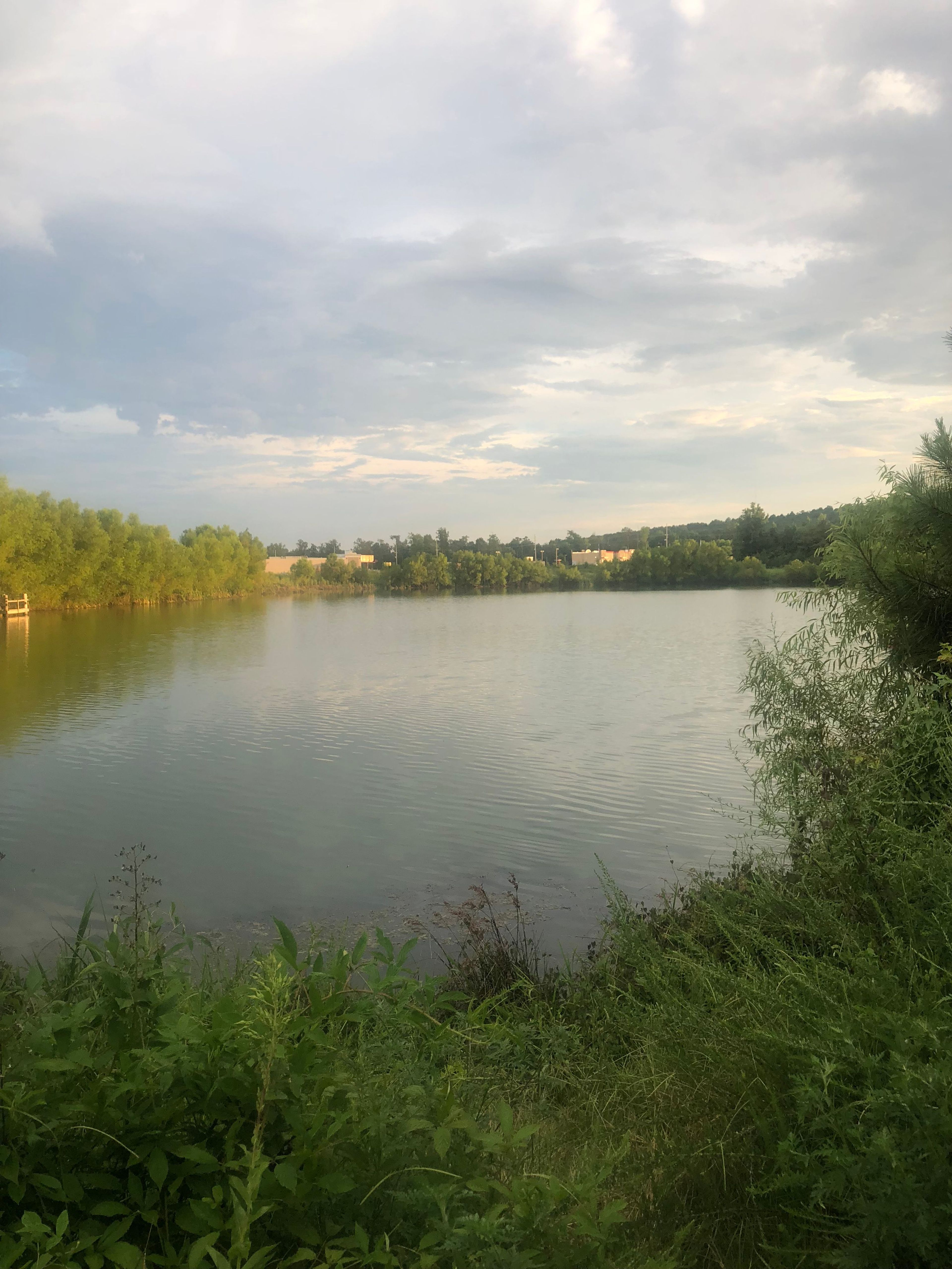 At the Ponds in Harvest. Photo by Virginia Barber.