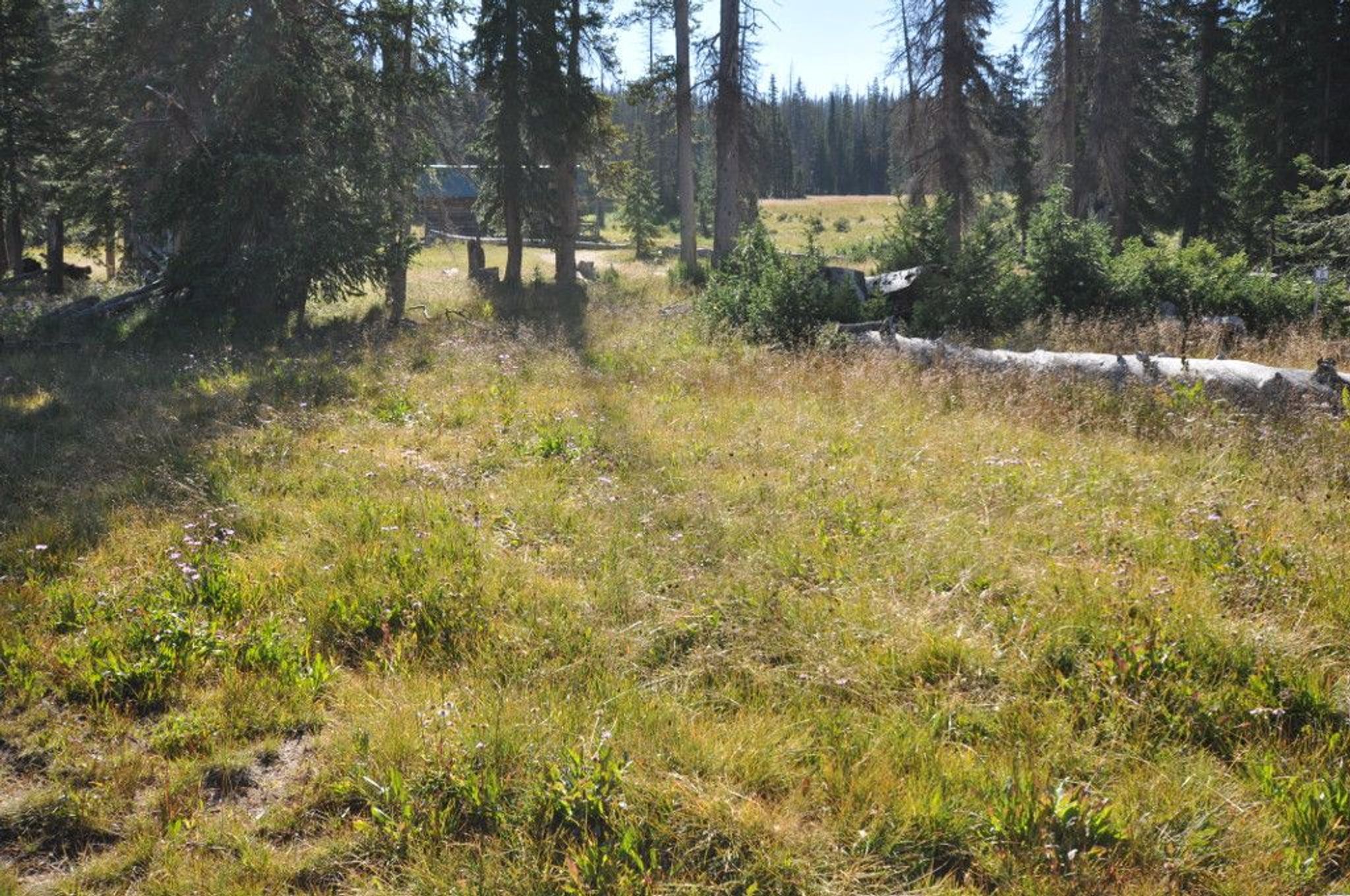 Headquarters Park Historic District, Medicine Bow National Forest, Carbon County, Wyoming. Photo by Magicpiano.