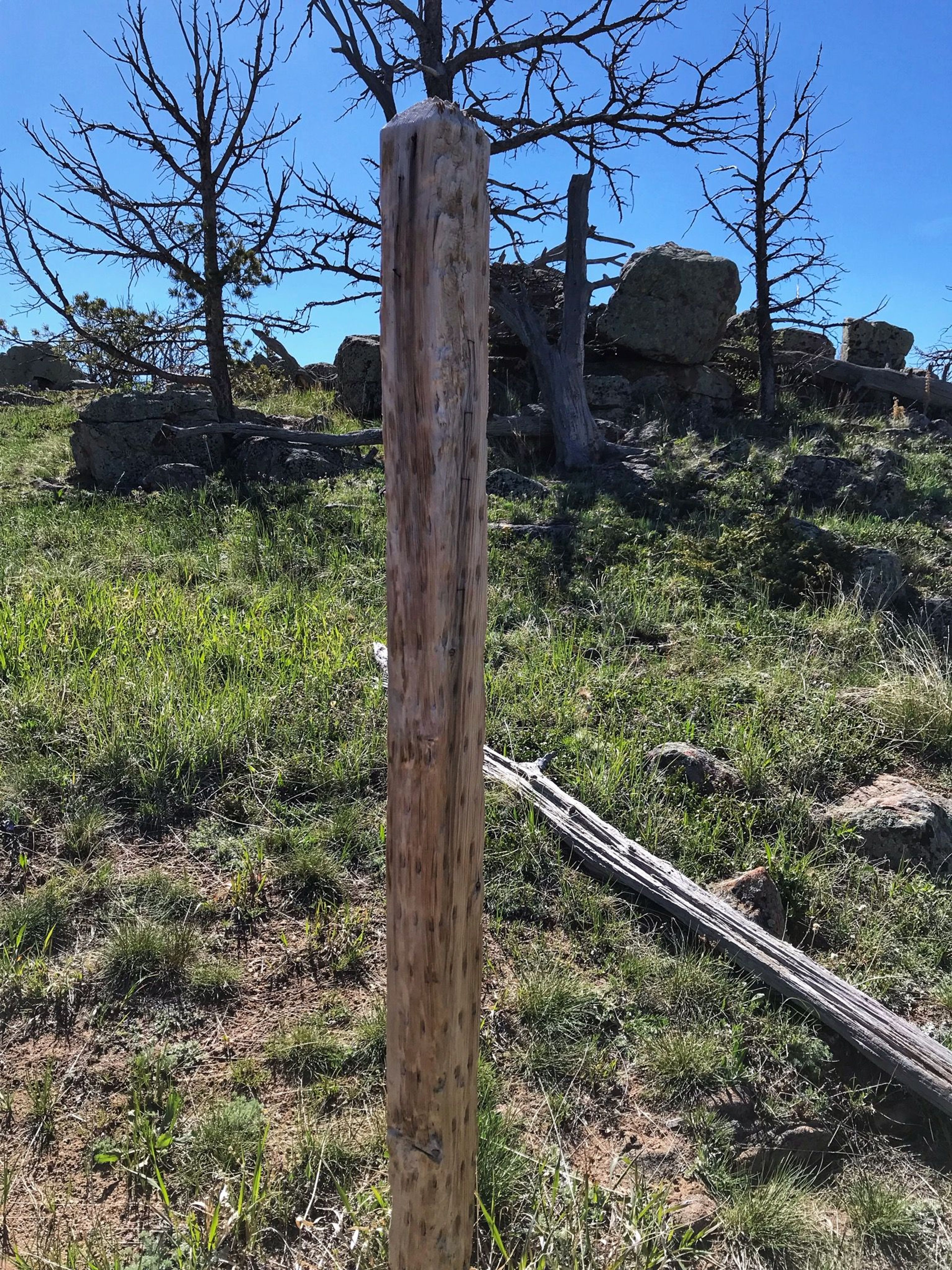 Watch for these 4x4 poles that mark the trail. Photo by Pam Riches.