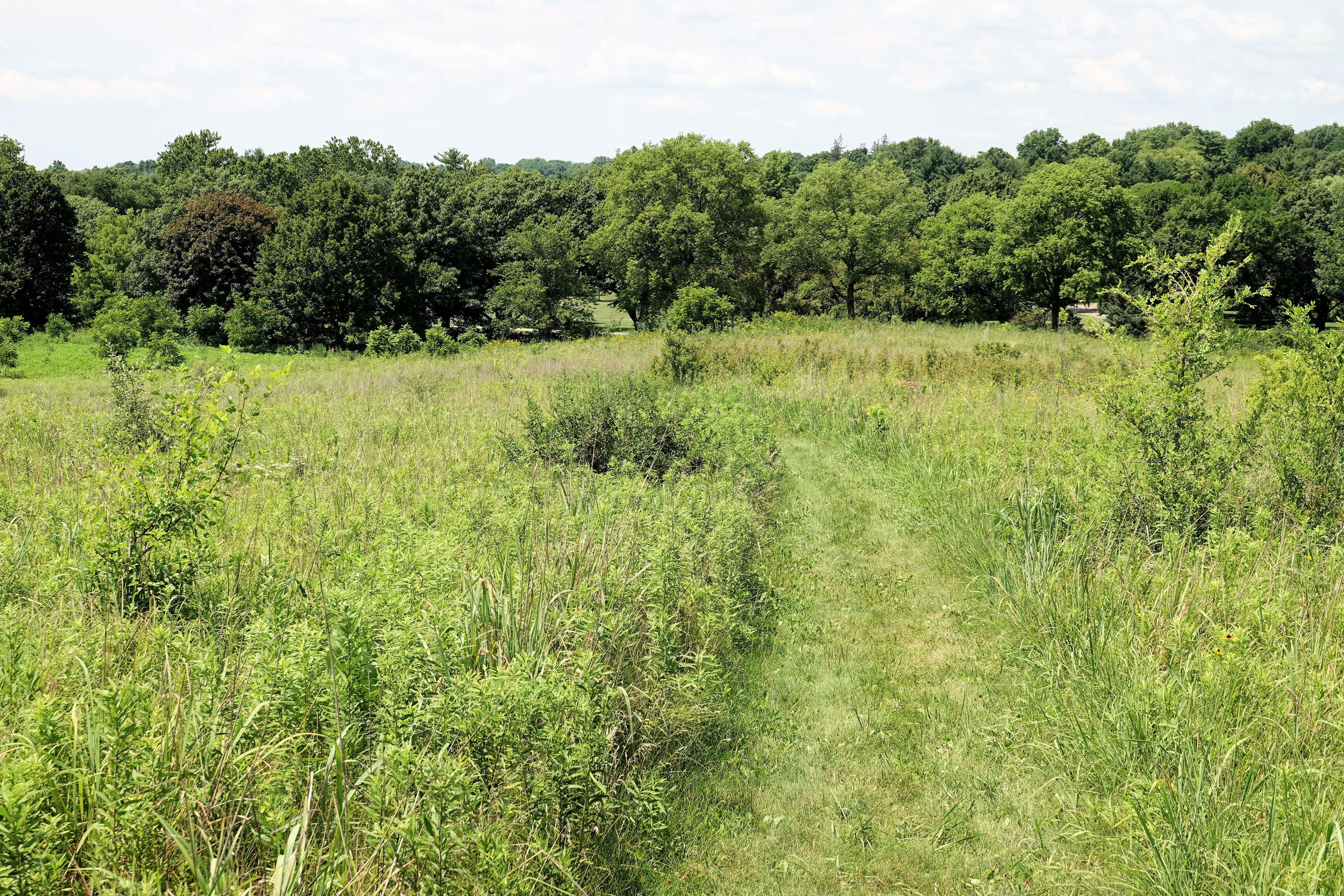 Herbert Hoover Prairie Trail - 7-10-18. Photo by Jim Walla.