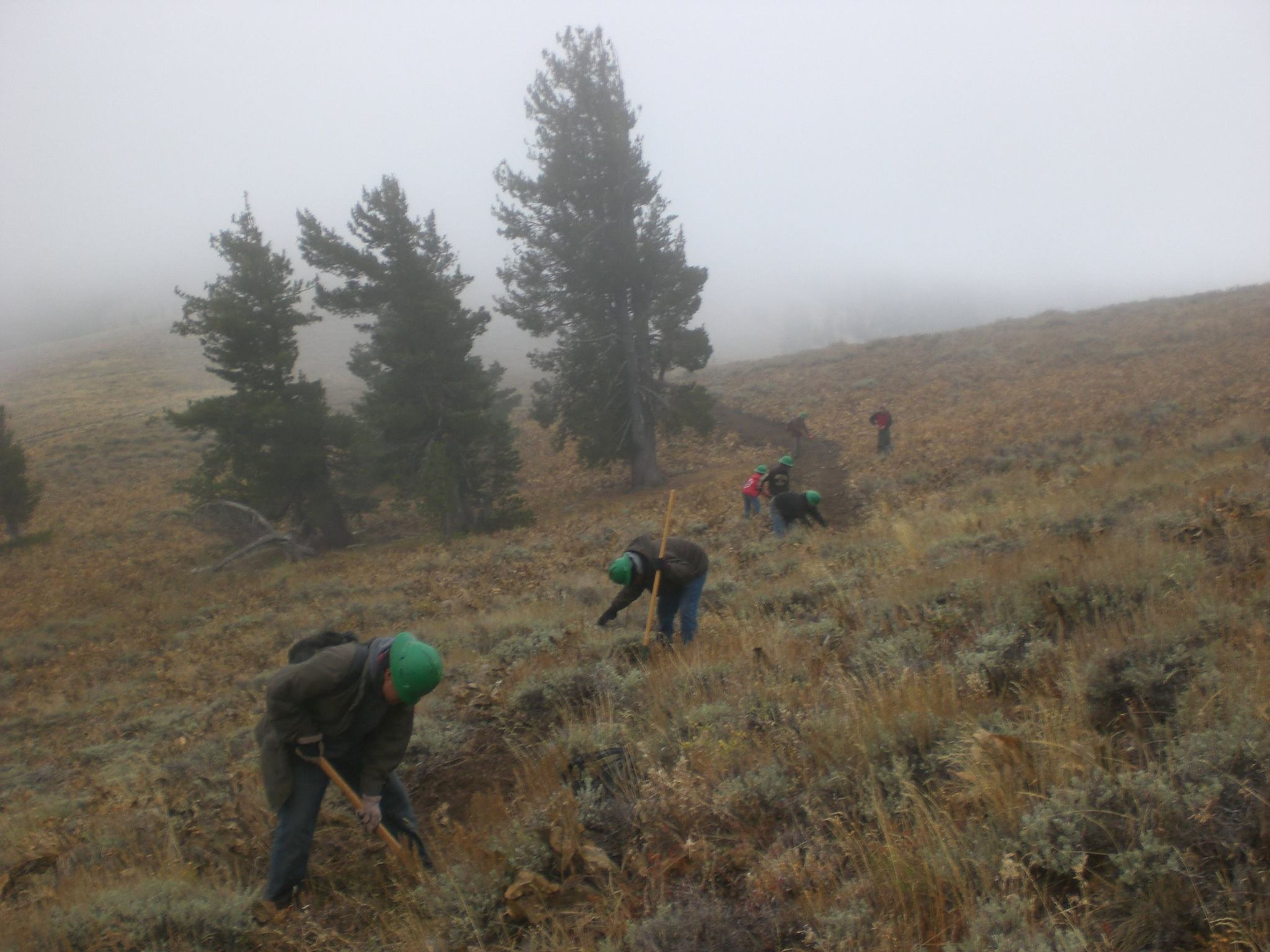 Volunteers working on trail on National Public Lands Day. Photo by USFS.