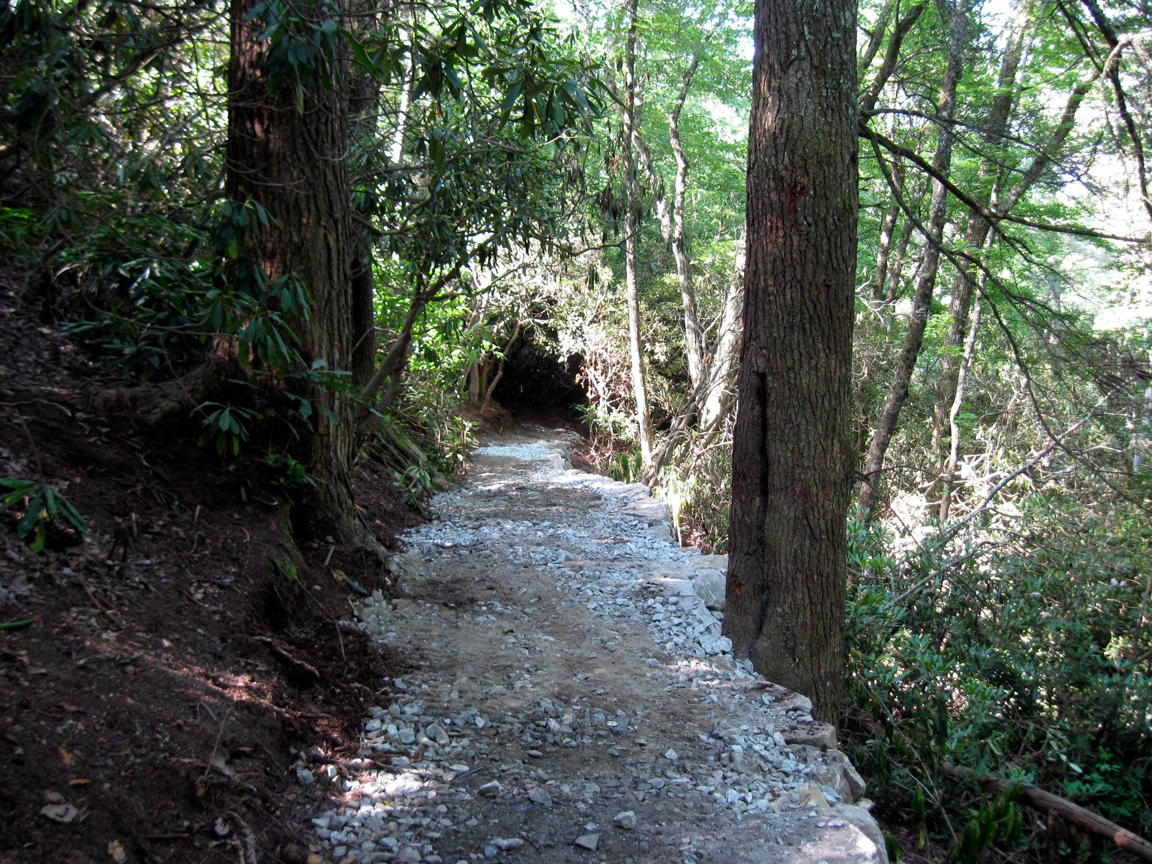 Rhododendren Park Trail. Photo by Hillrie Quin.