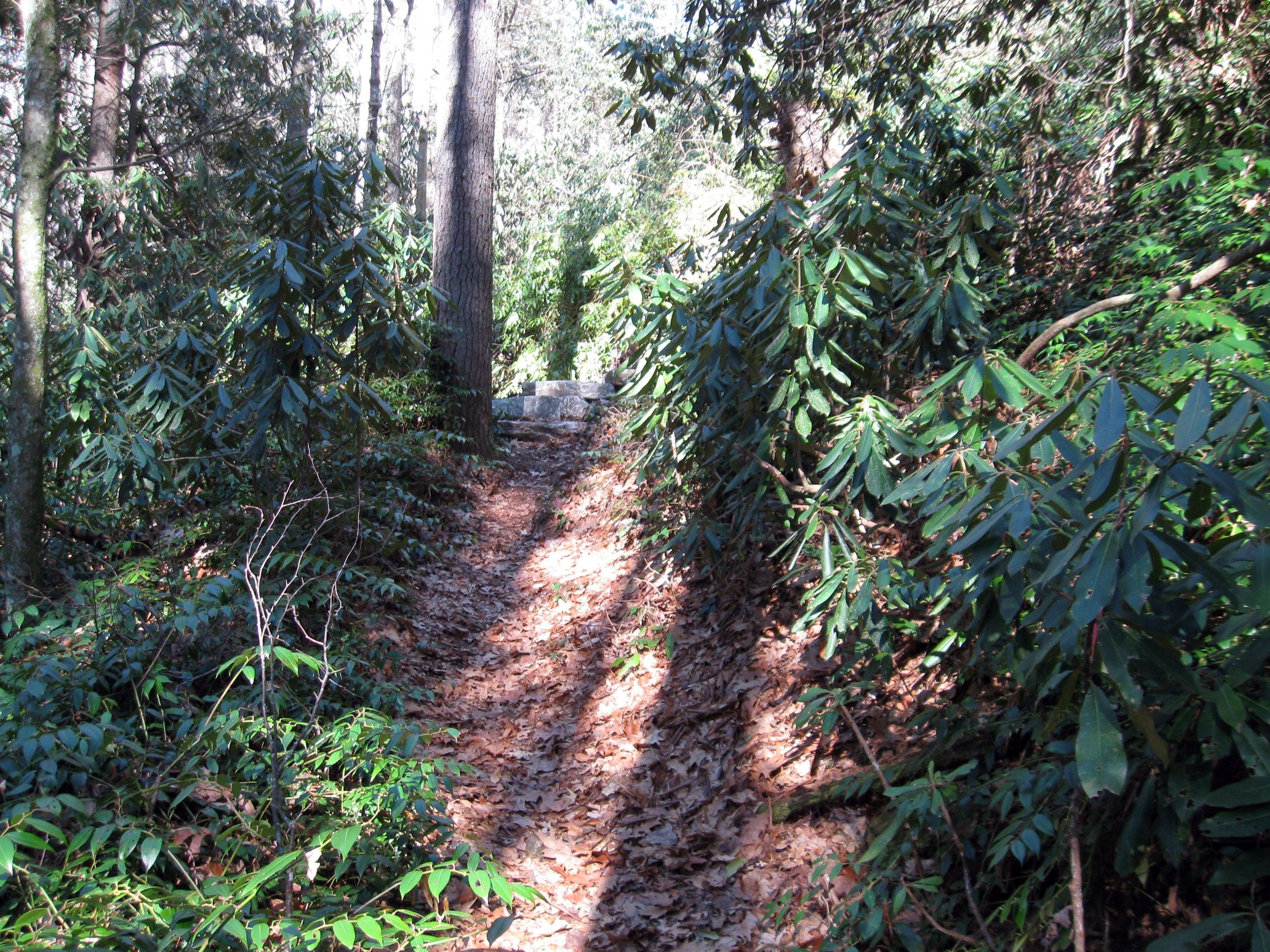 Greenway Loop trail. Photo by Hillrie Quin.